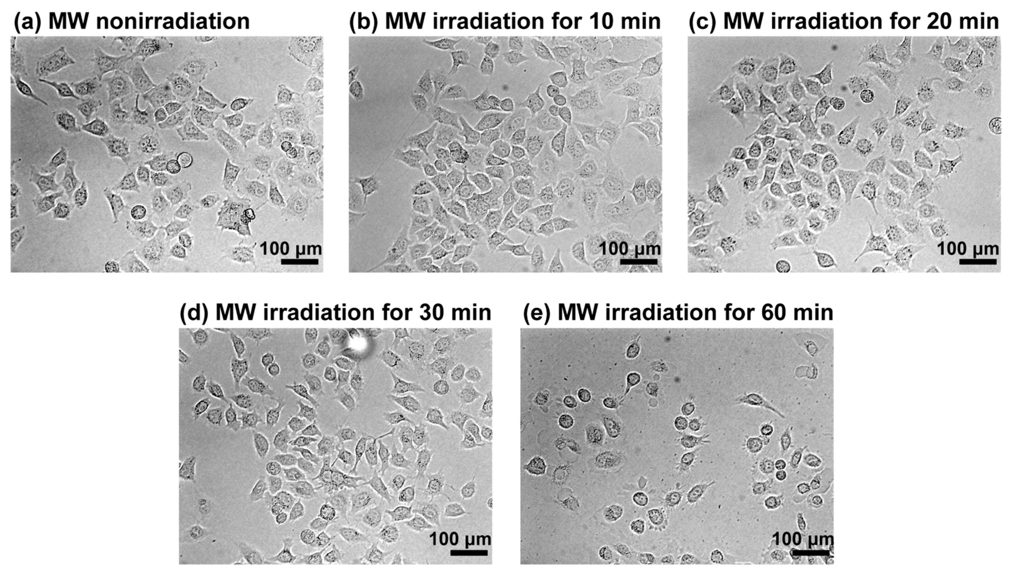 Processes 14 00497 g001
