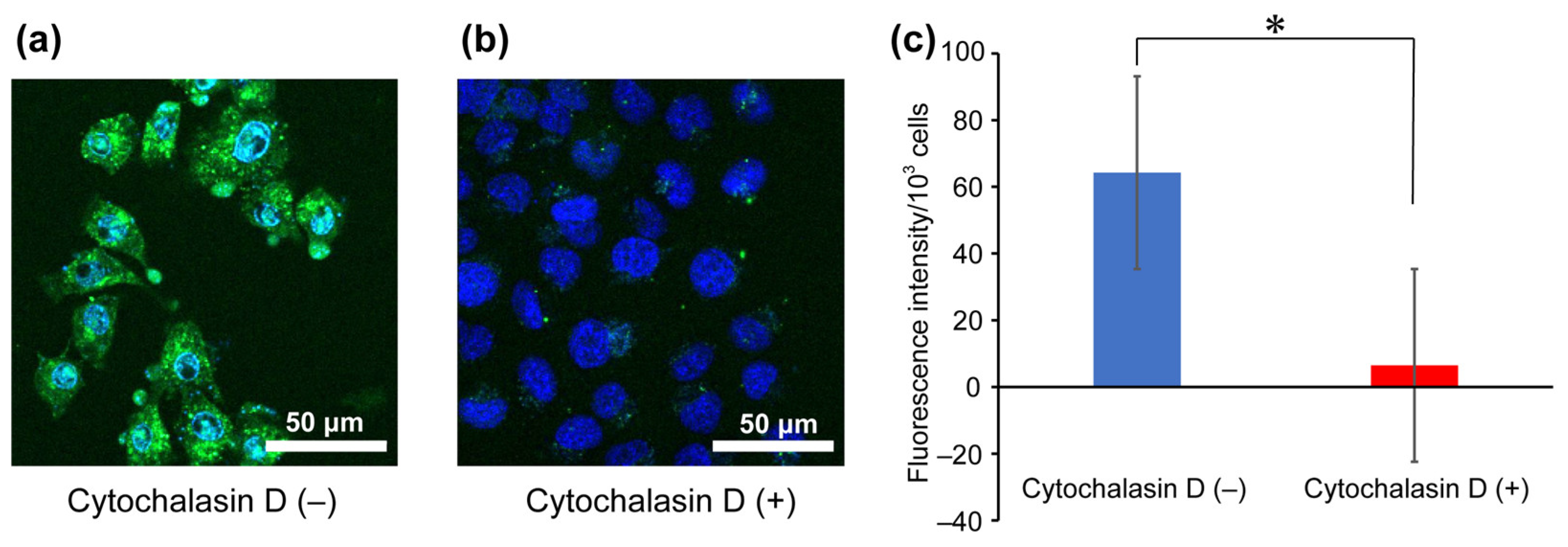 Processes 14 00497 g004