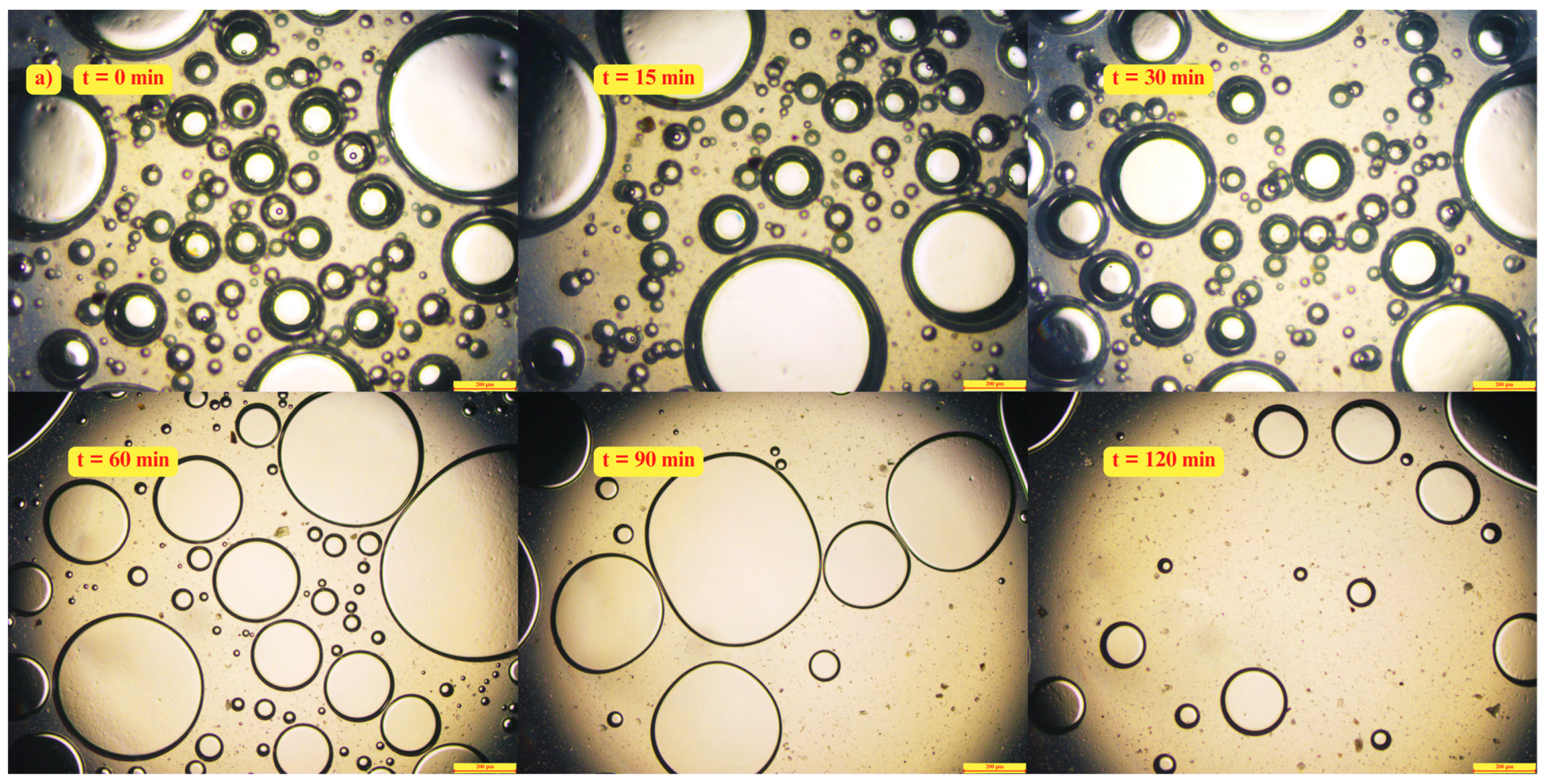 Processes 14 00587 g013a Processes 14 00587 g013a