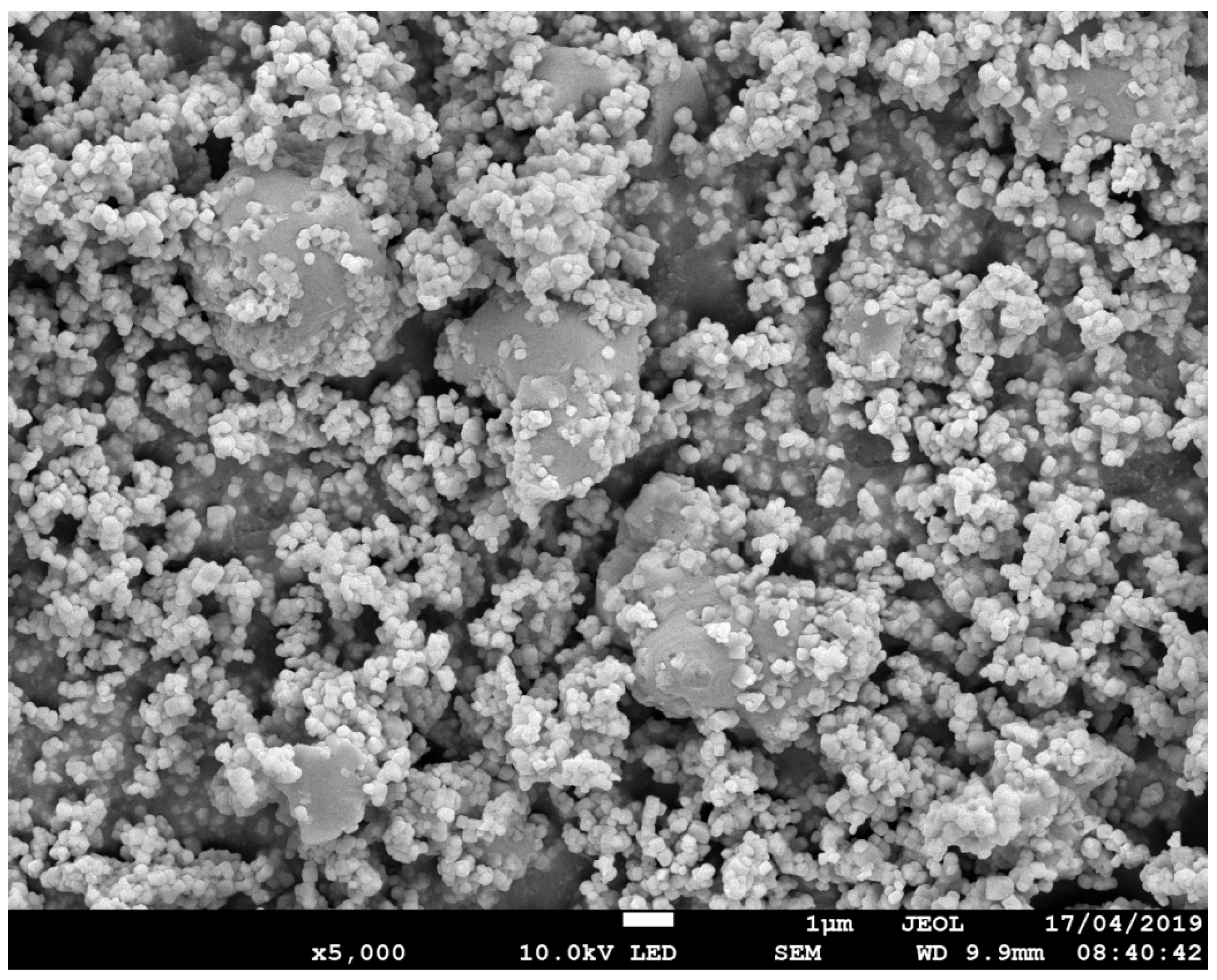 Processes 14 00687 g005