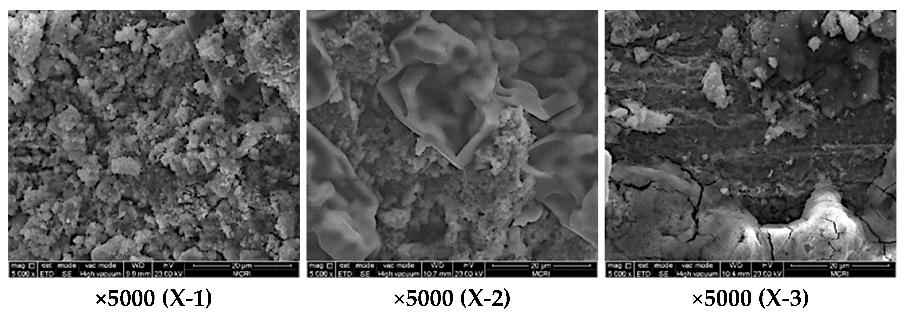 Processes 14 00704 g007b