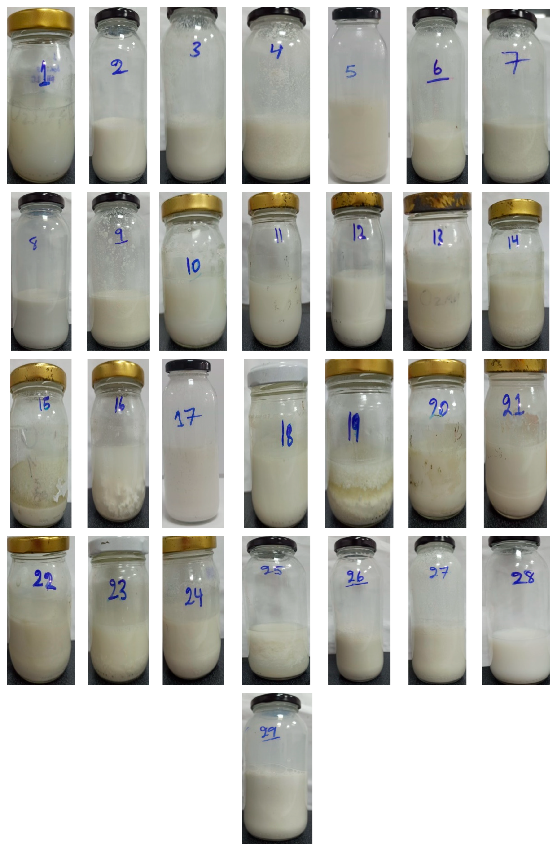 Processes 14 00783 g002 Processes 14 00783 g002