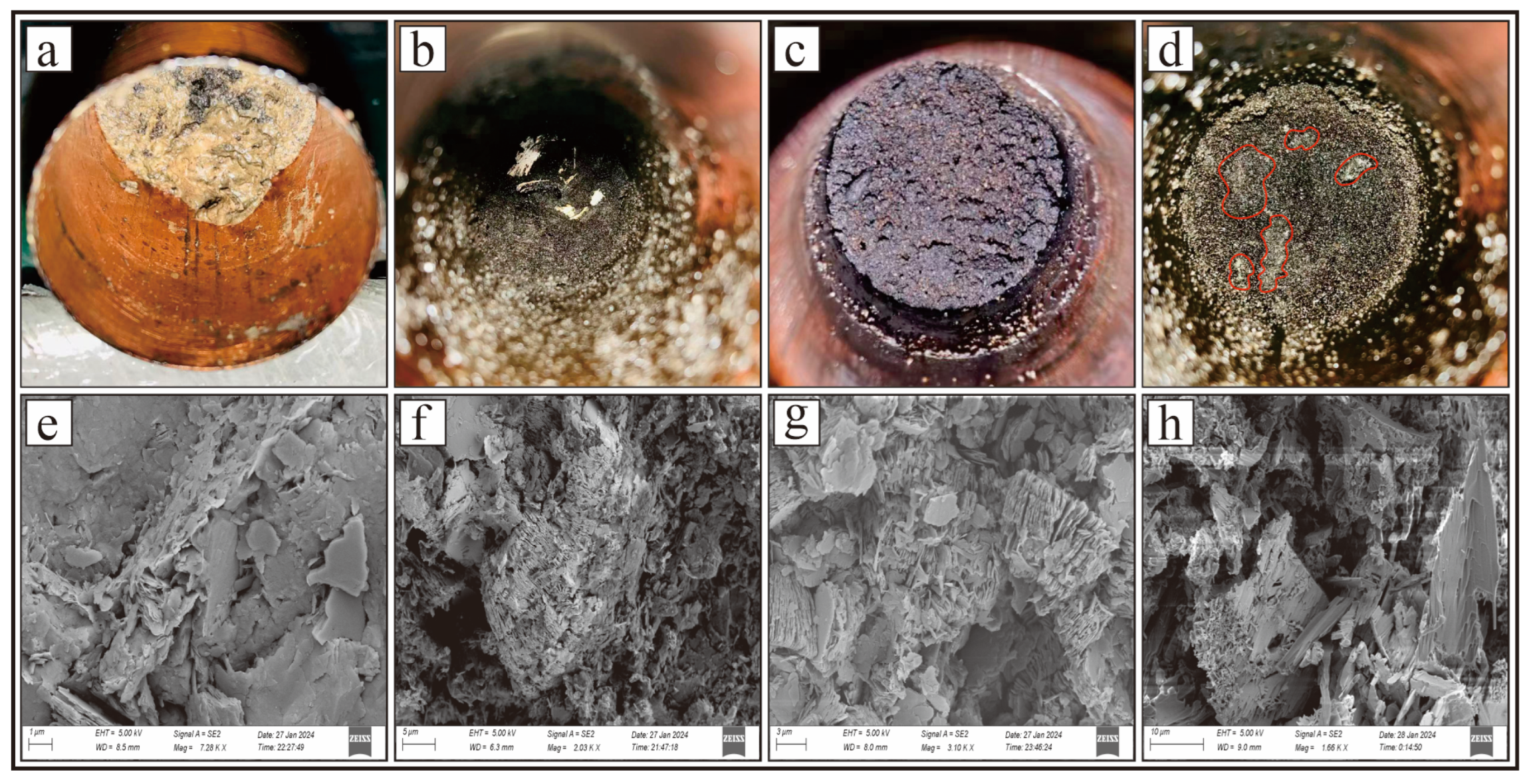Processes 14 00935 g010