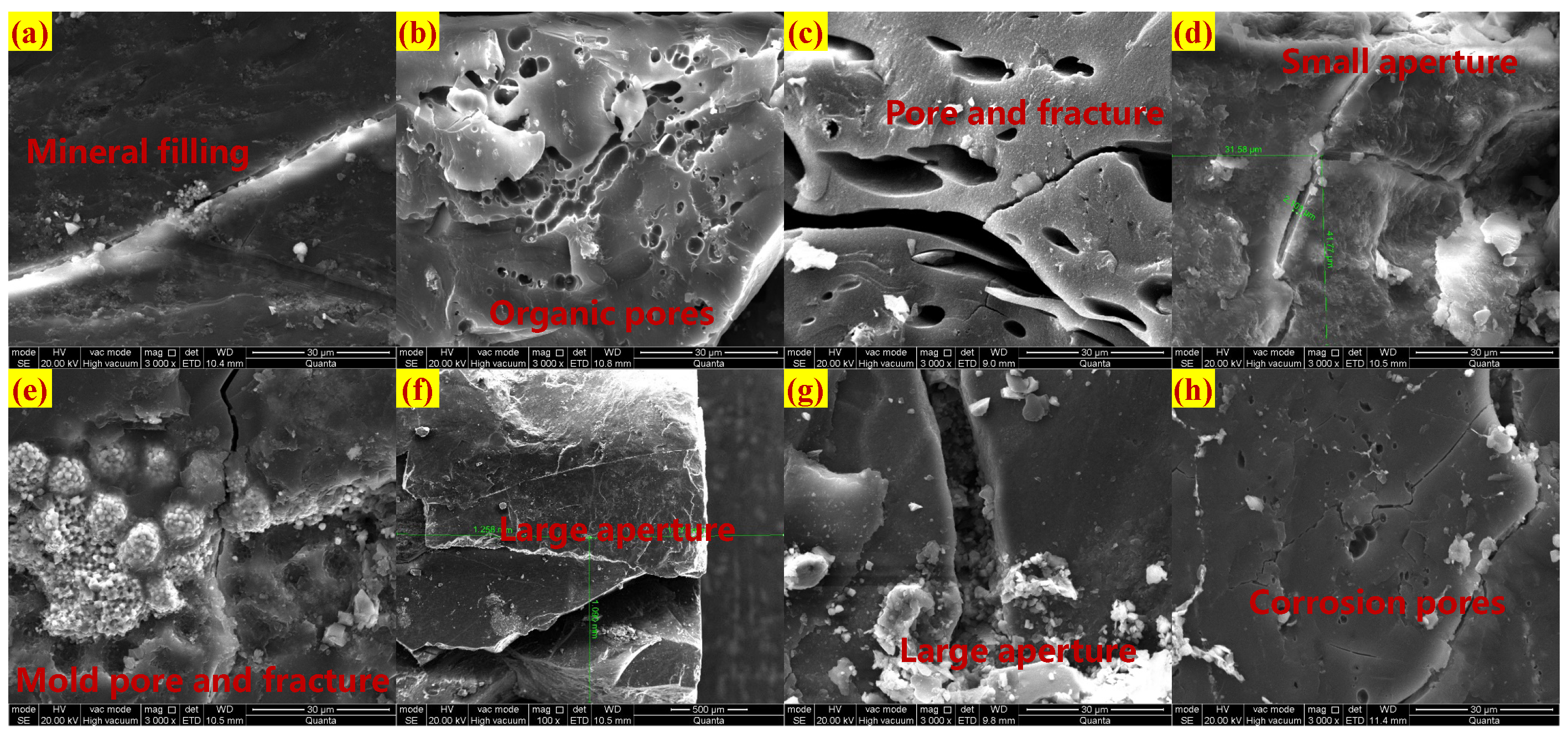 Processes 14 01031 g001 Processes 14 01031 g001