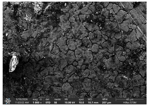 Processes 14 01056 i007