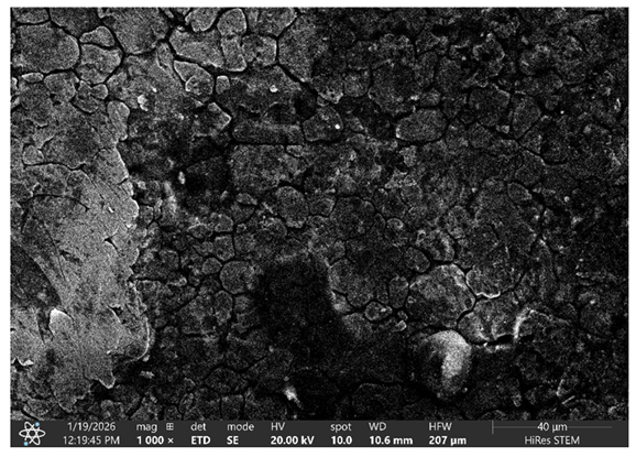 Processes 14 01056 i009