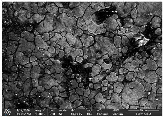 Processes 14 01056 i012