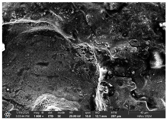 Processes 14 01056 i016