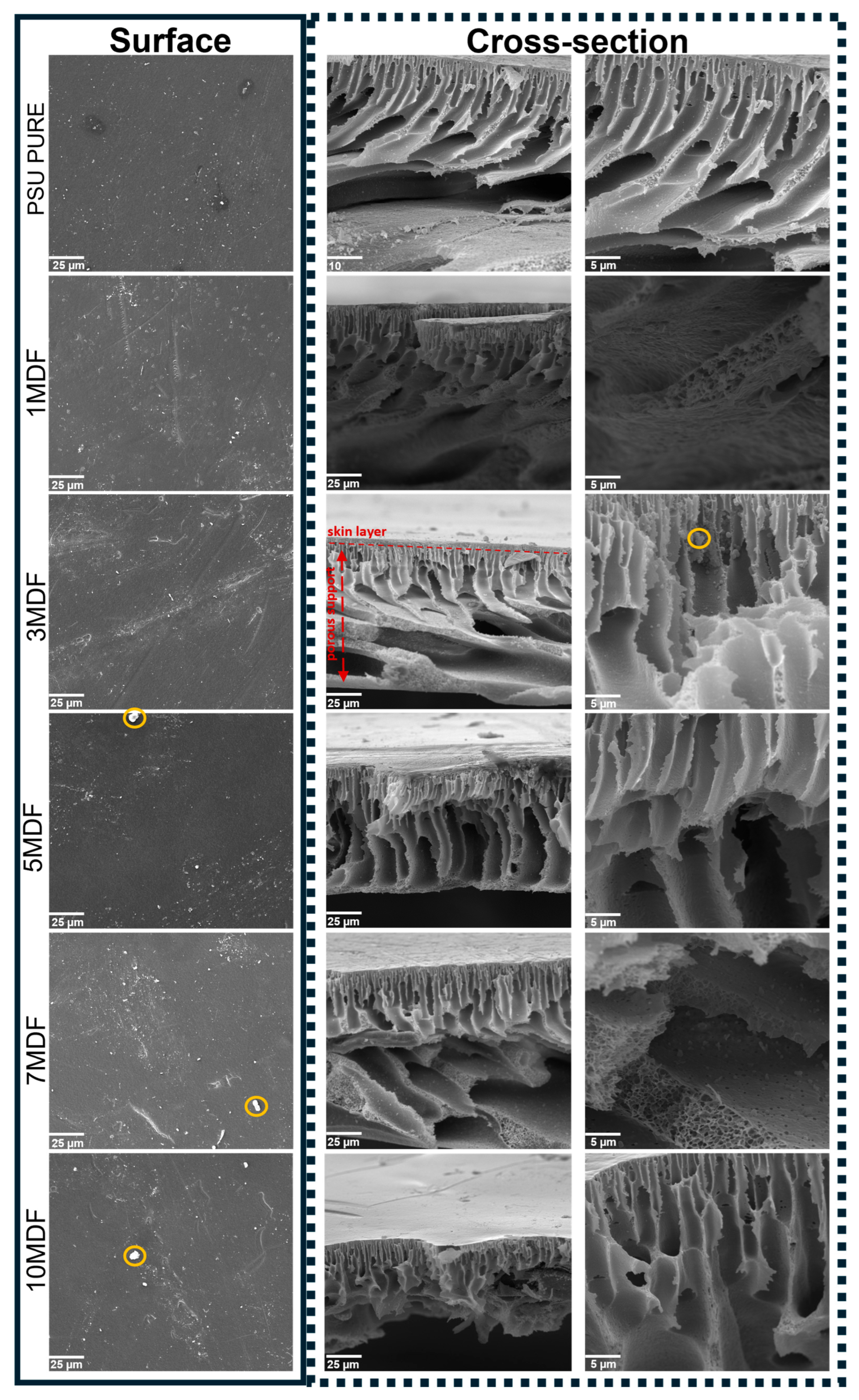 Processes 14 01265 g004 Processes 14 01265 g004