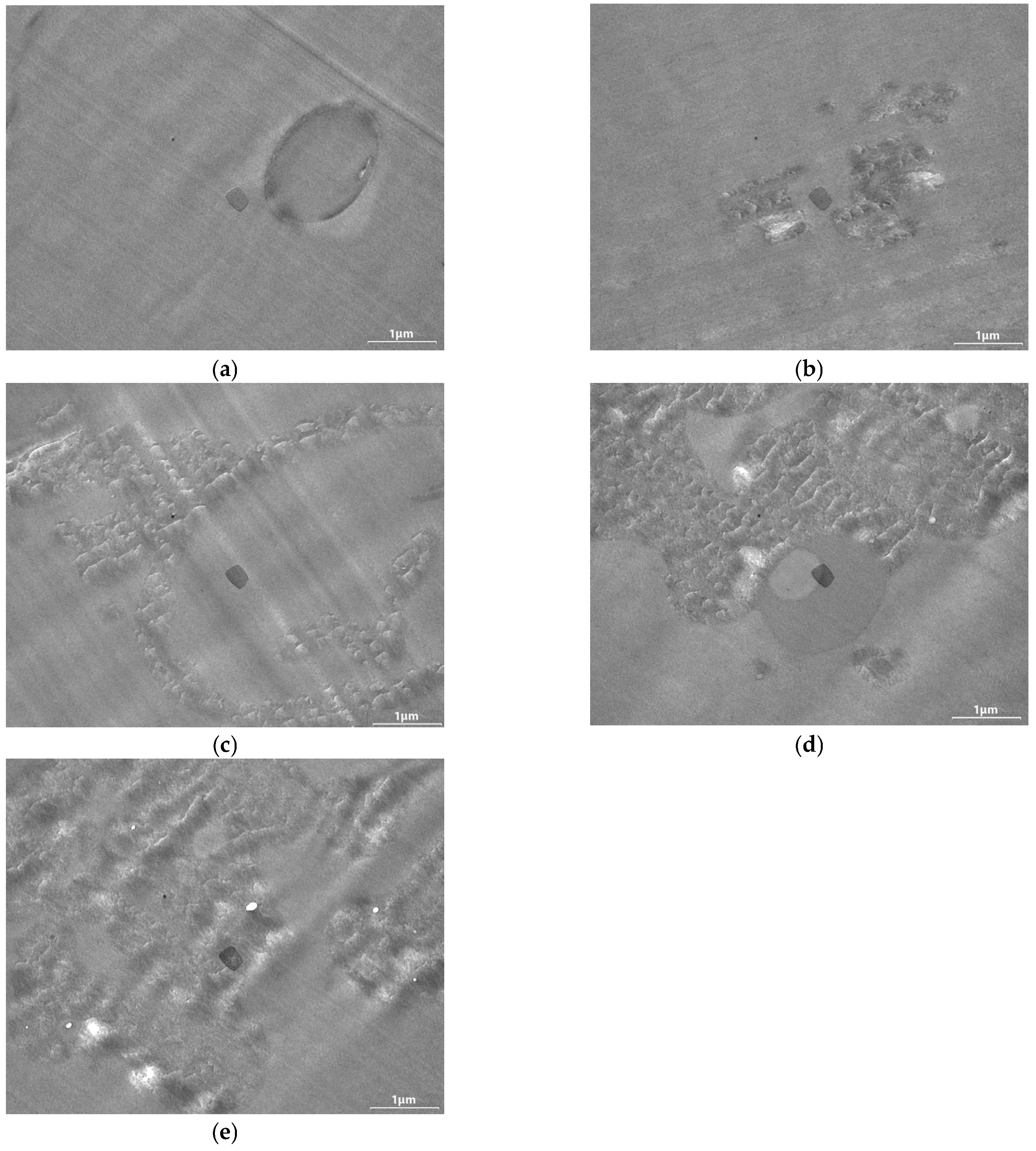 Processes 14 01420 g010