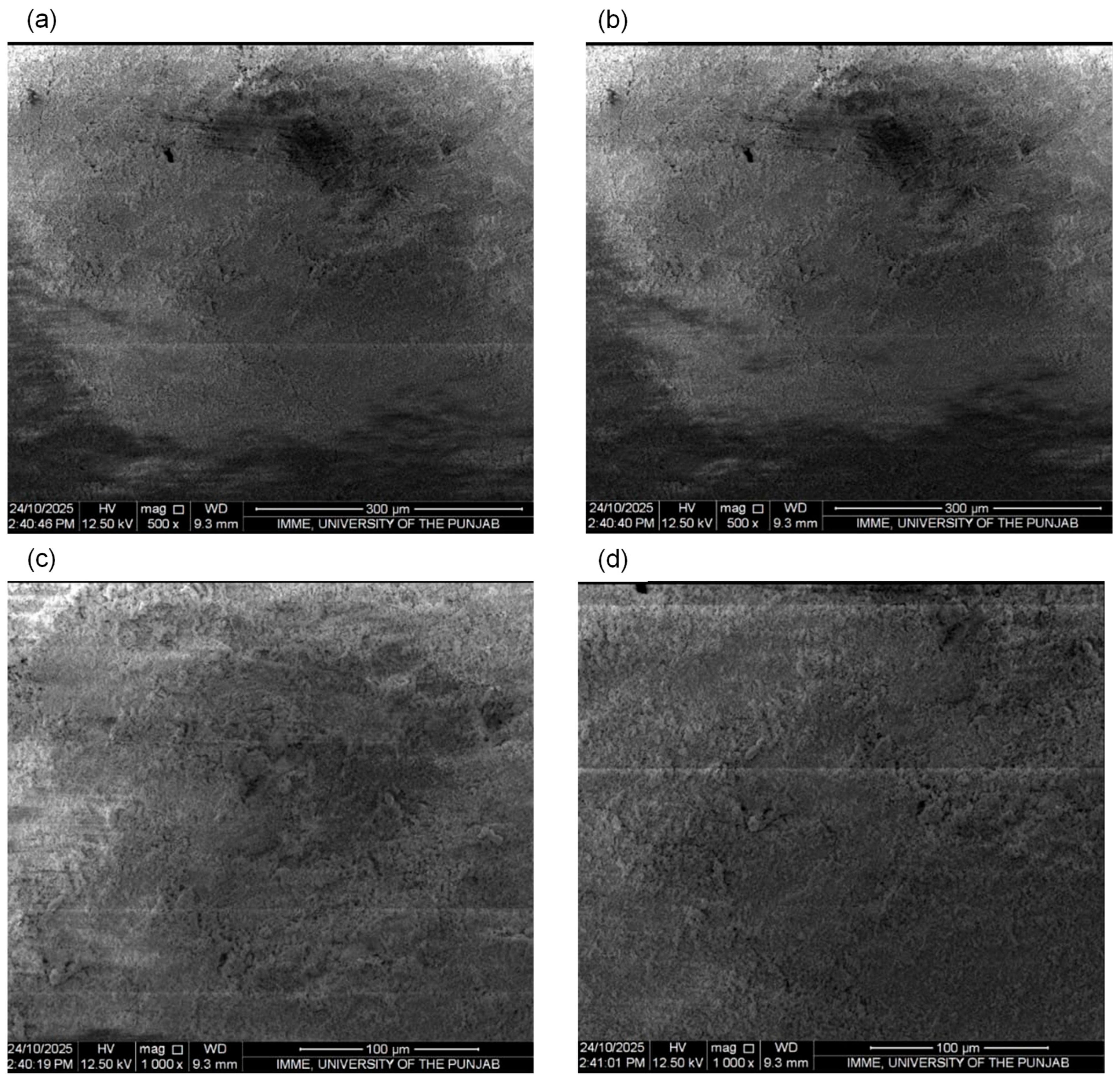 Processes 14 01454 g013