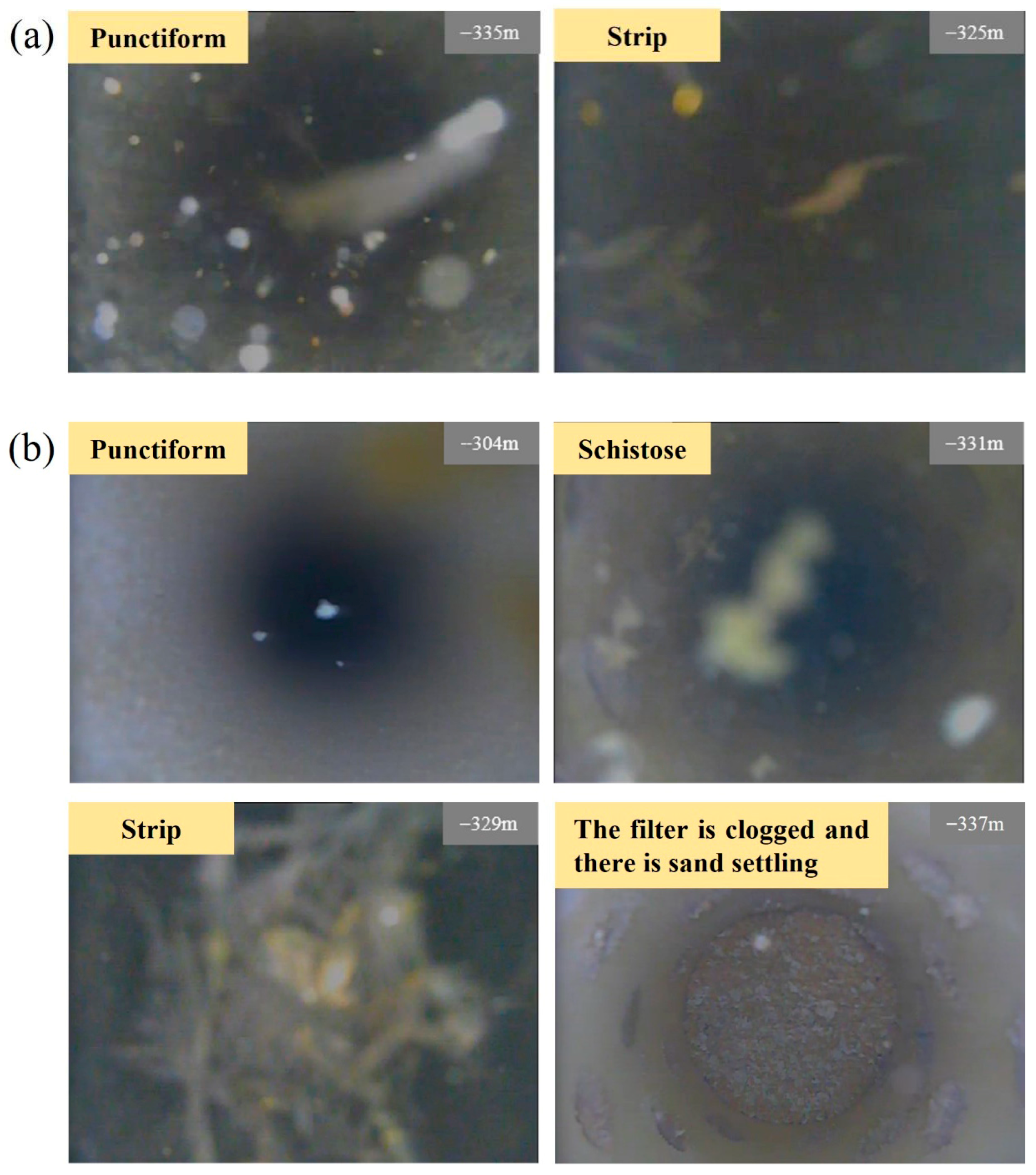 Processes 14 01520 g012