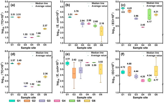 Untangling the Links Between Microbial Activity and Water Quality
