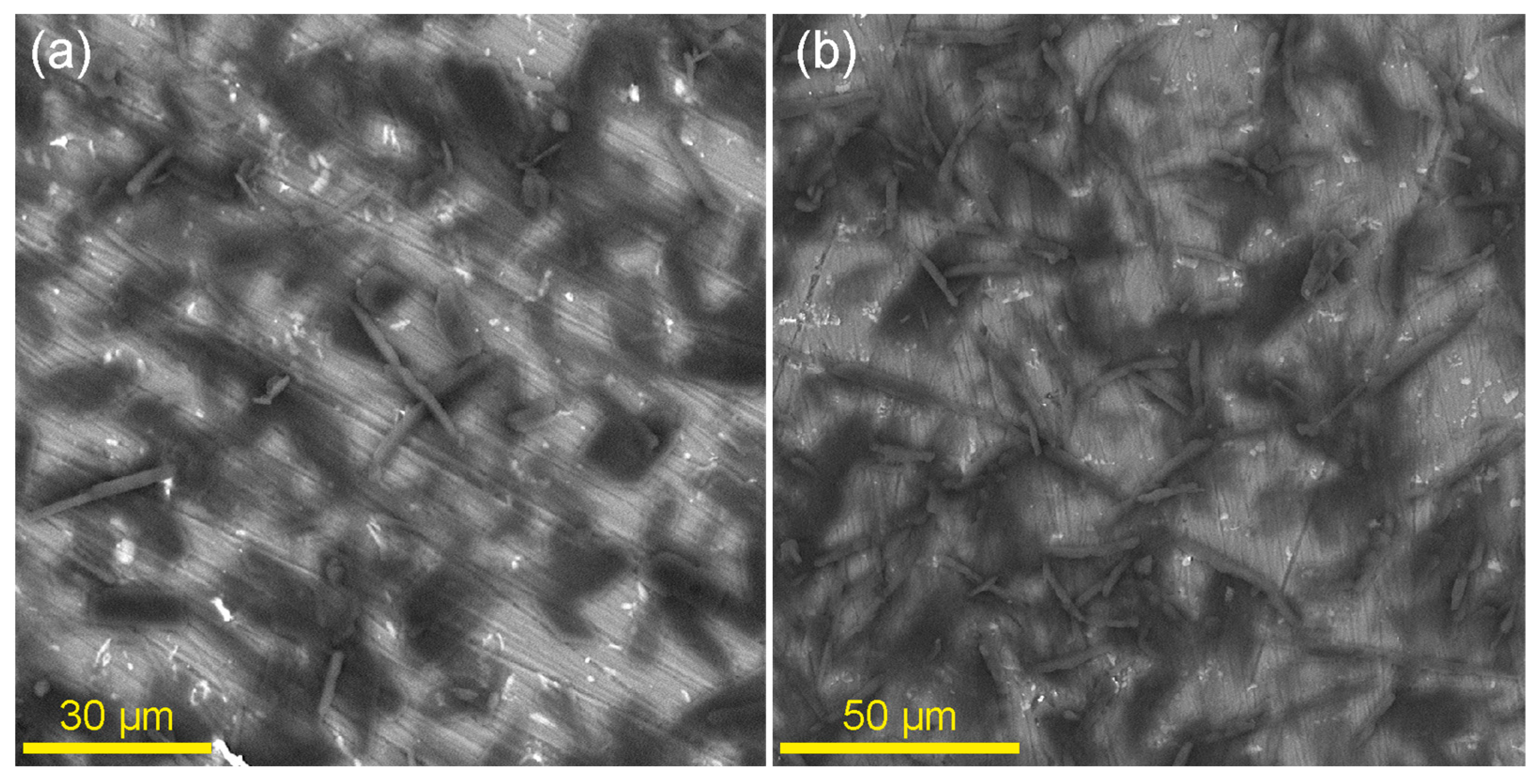 Processes 14 01533 g007