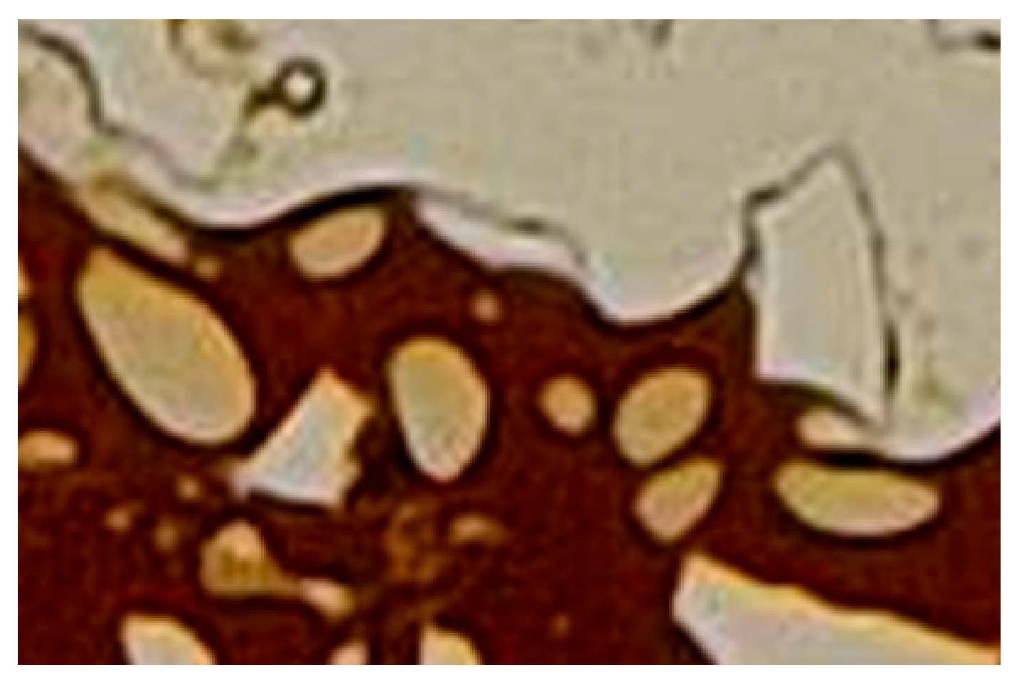 Processes 14 01594 g003