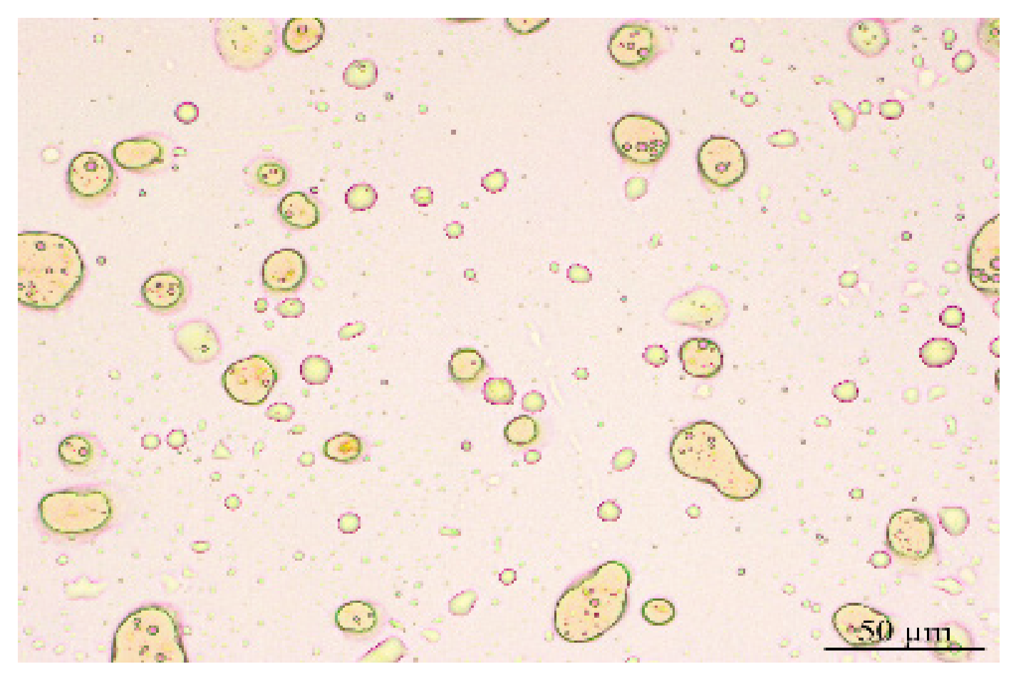 Processes 14 01594 g004