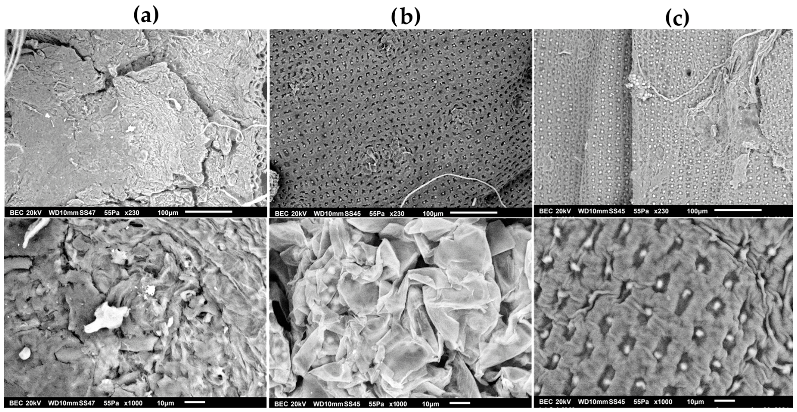Processes 14 01622 g008 Processes 14 01622 g008