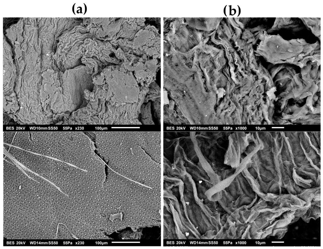 Processes 14 01622 g009 Processes 14 01622 g009