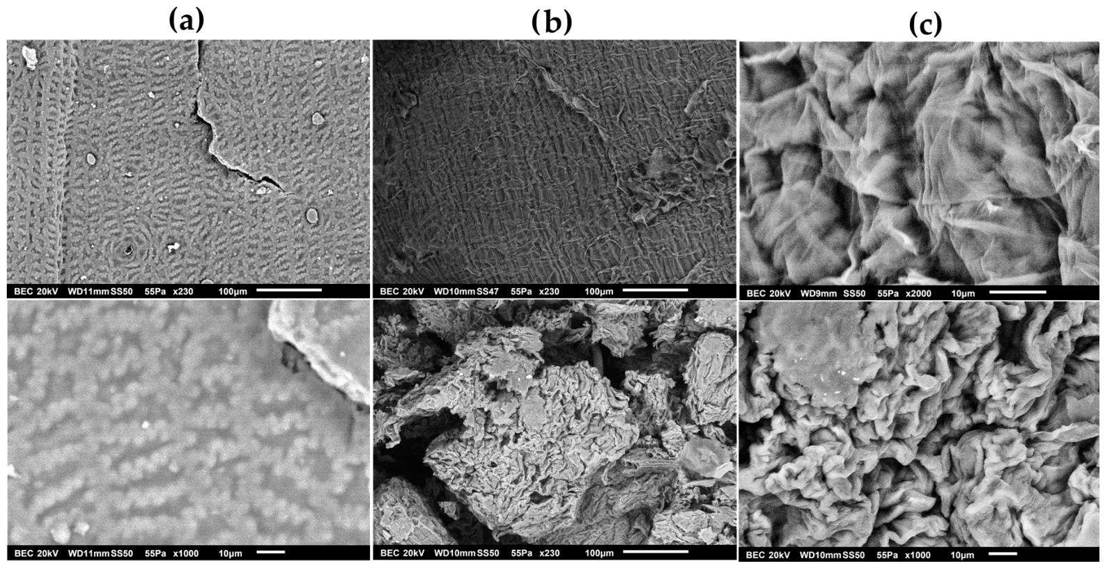 Processes 14 01622 g010 Processes 14 01622 g010