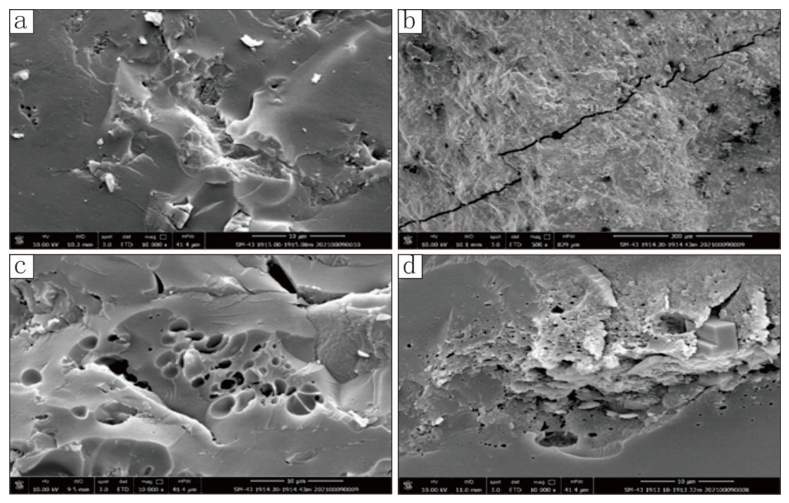 Processes 14 01637 g006 Processes 14 01637 g006