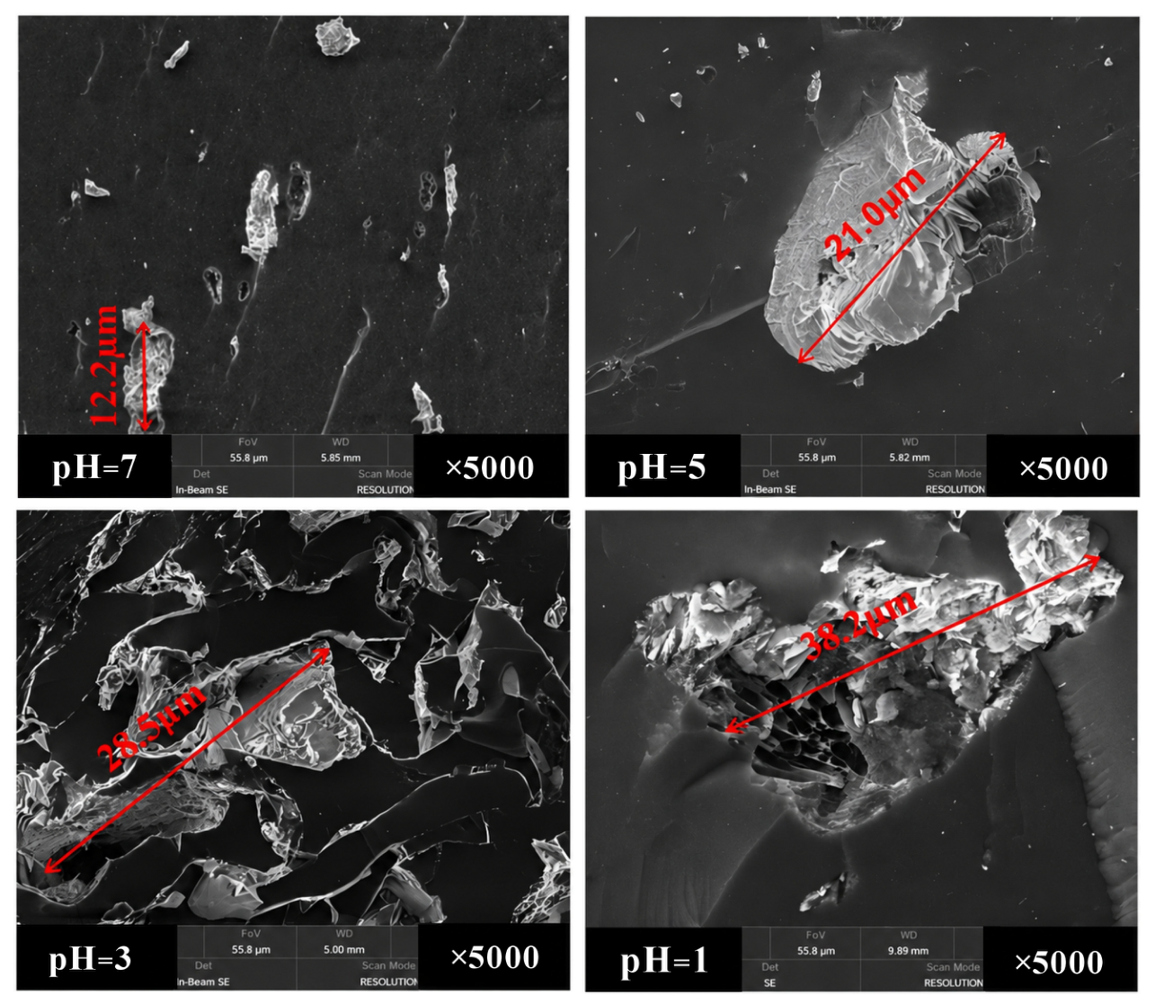Processes 14 01742 g012 Processes 14 01742 g012