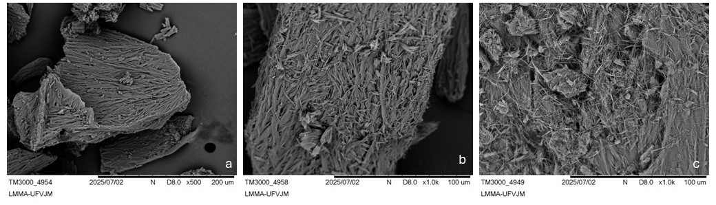 Processes 14 01993 g006