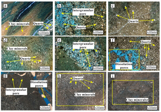 Biogenic Gas Charging Features in the Quaternary Mudstone of the