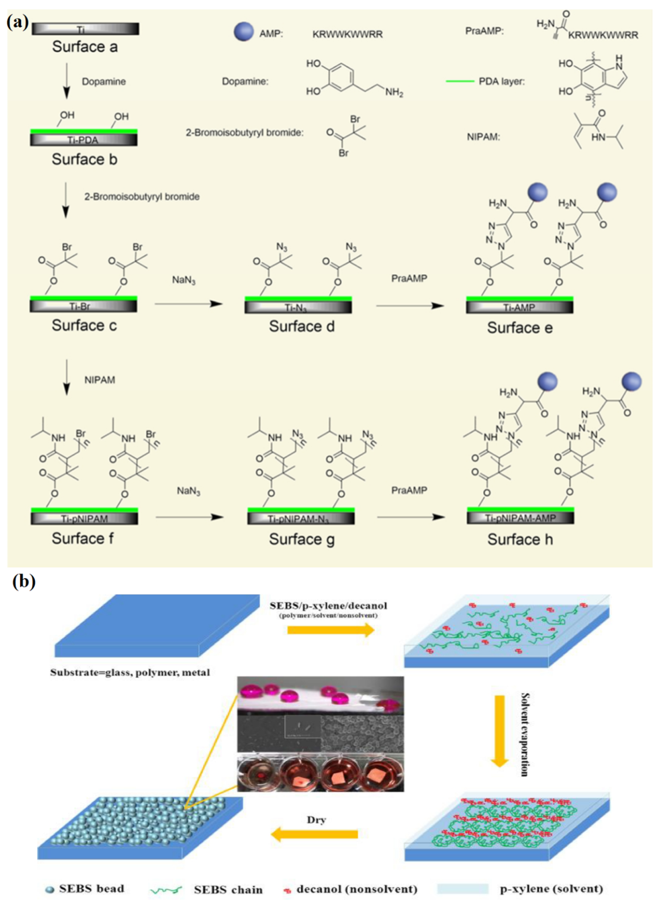 Prosthesis 02 00012 g003 Prosthesis 02 00012 g003