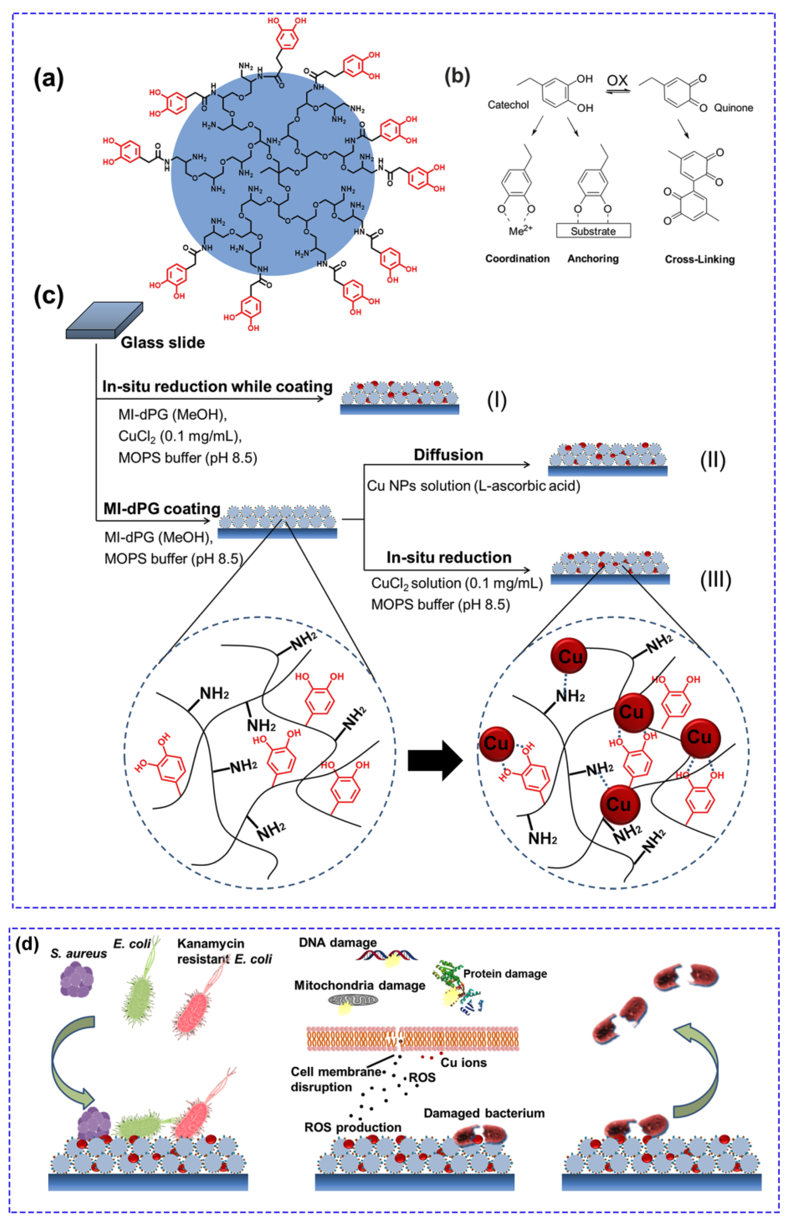 Prosthesis 02 00012 g004 Prosthesis 02 00012 g004