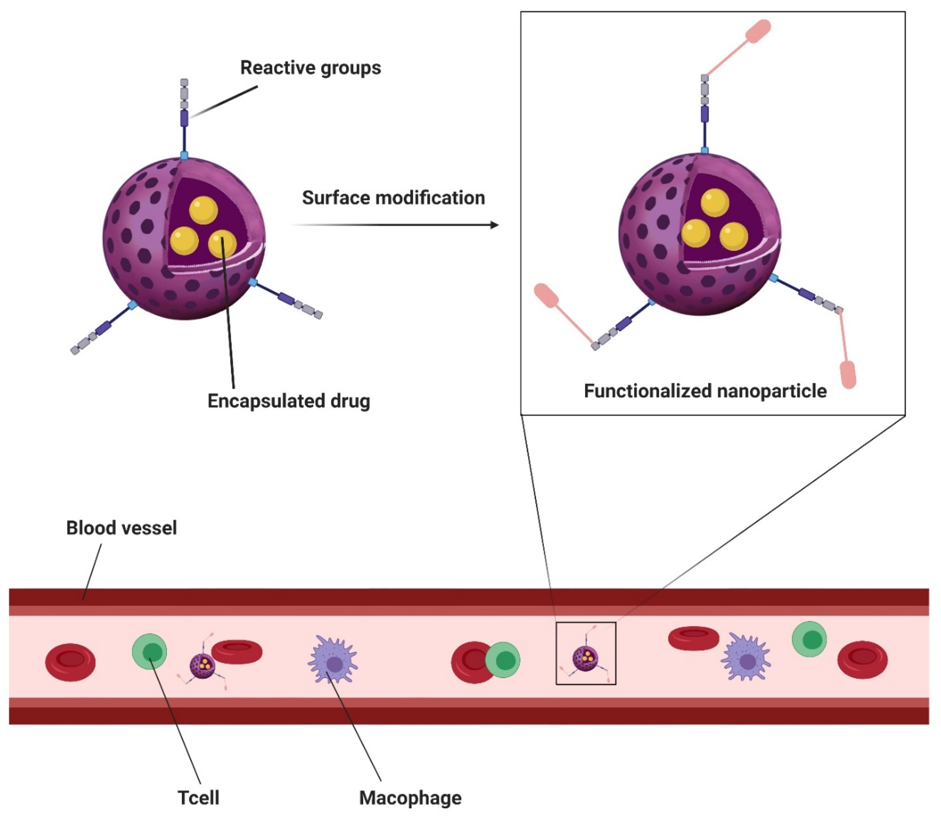 Prosthesis 02 00012 g007 Prosthesis 02 00012 g007