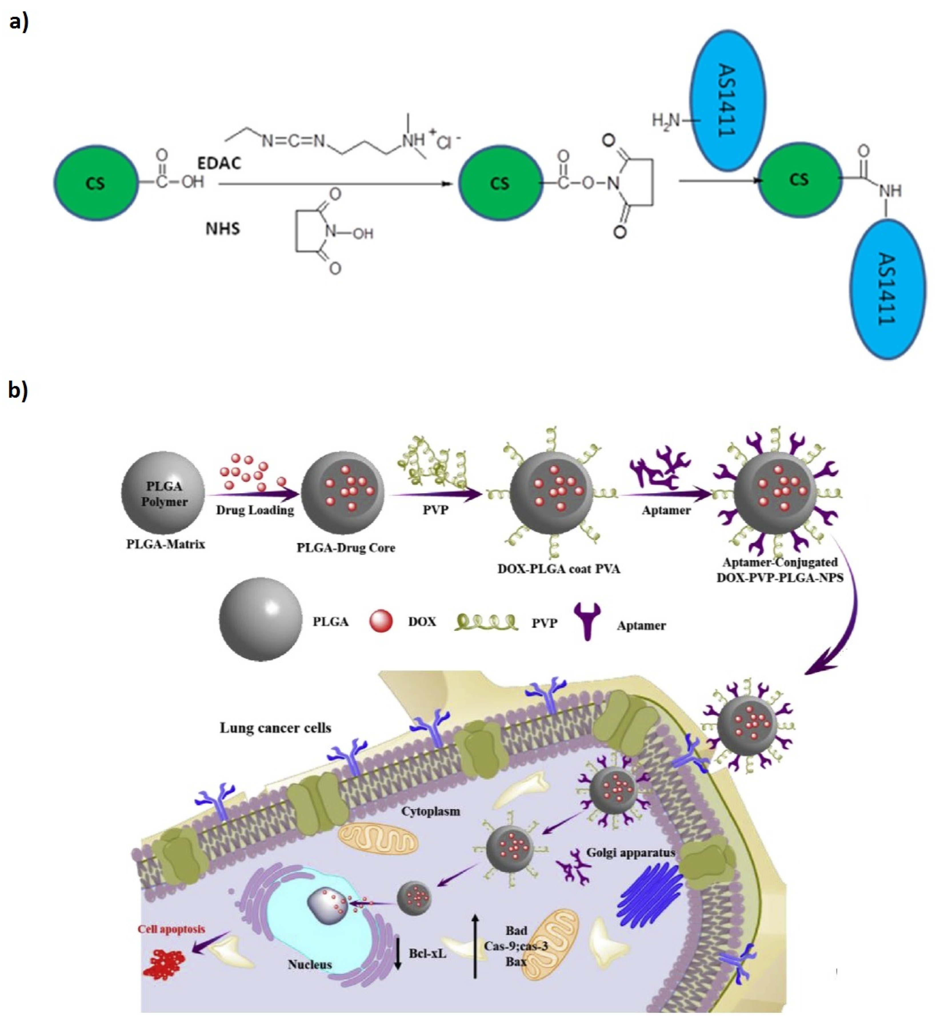 Prosthesis 02 00012 g009 Prosthesis 02 00012 g009