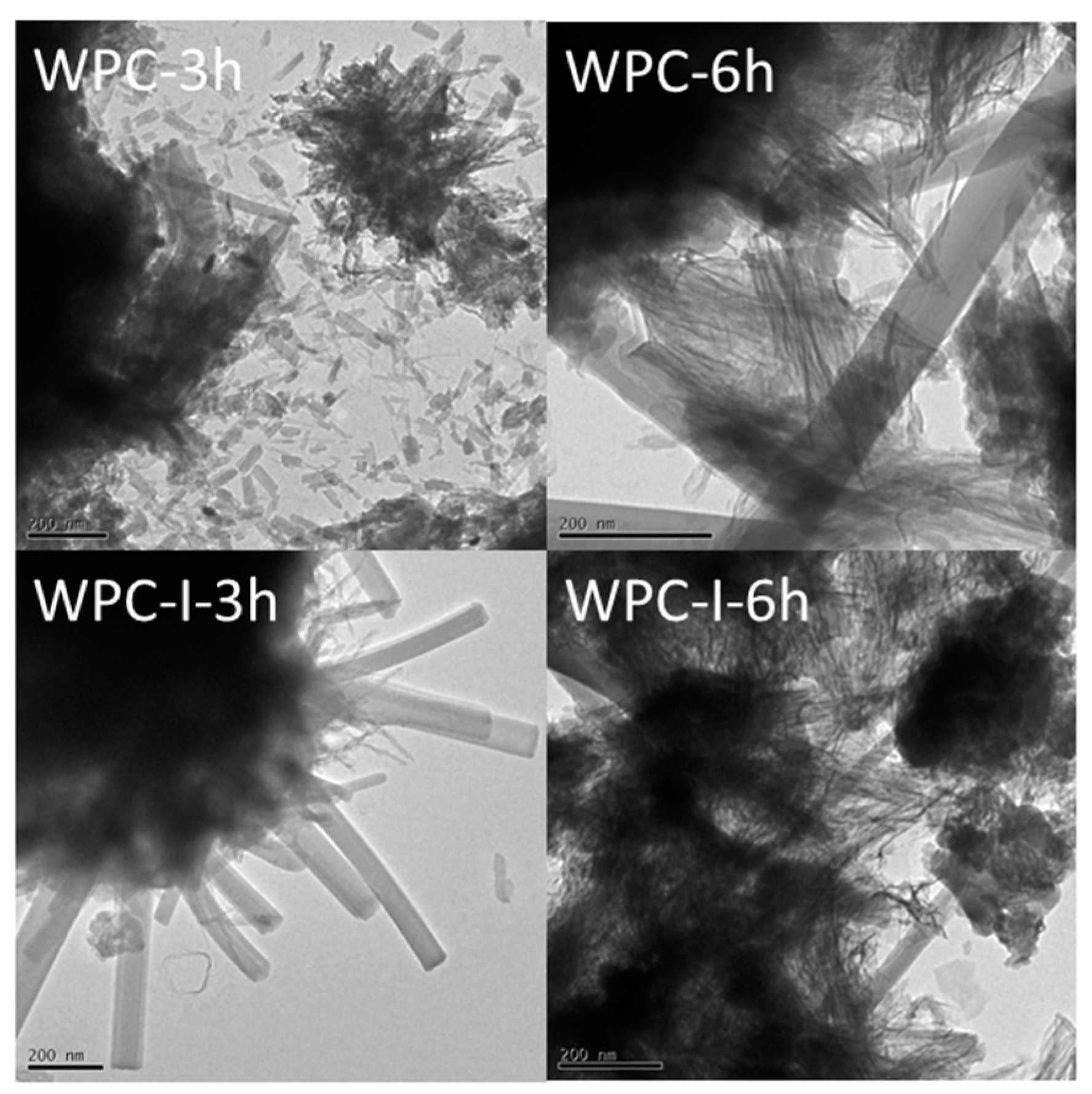 Prosthesis 02 00025 g002