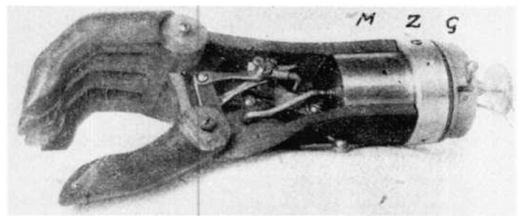 Prosthesis 03 00003 g001