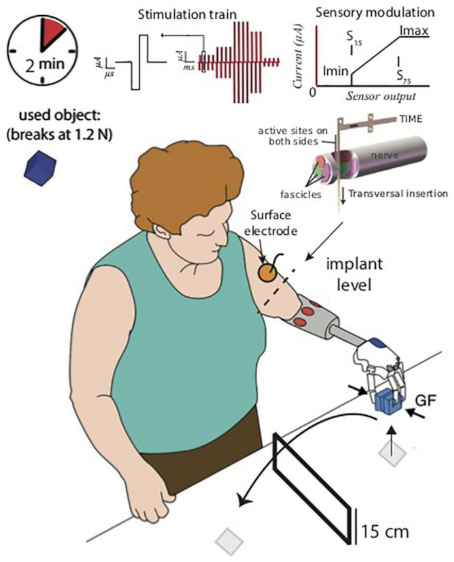 Prosthesis 03 00003 g007