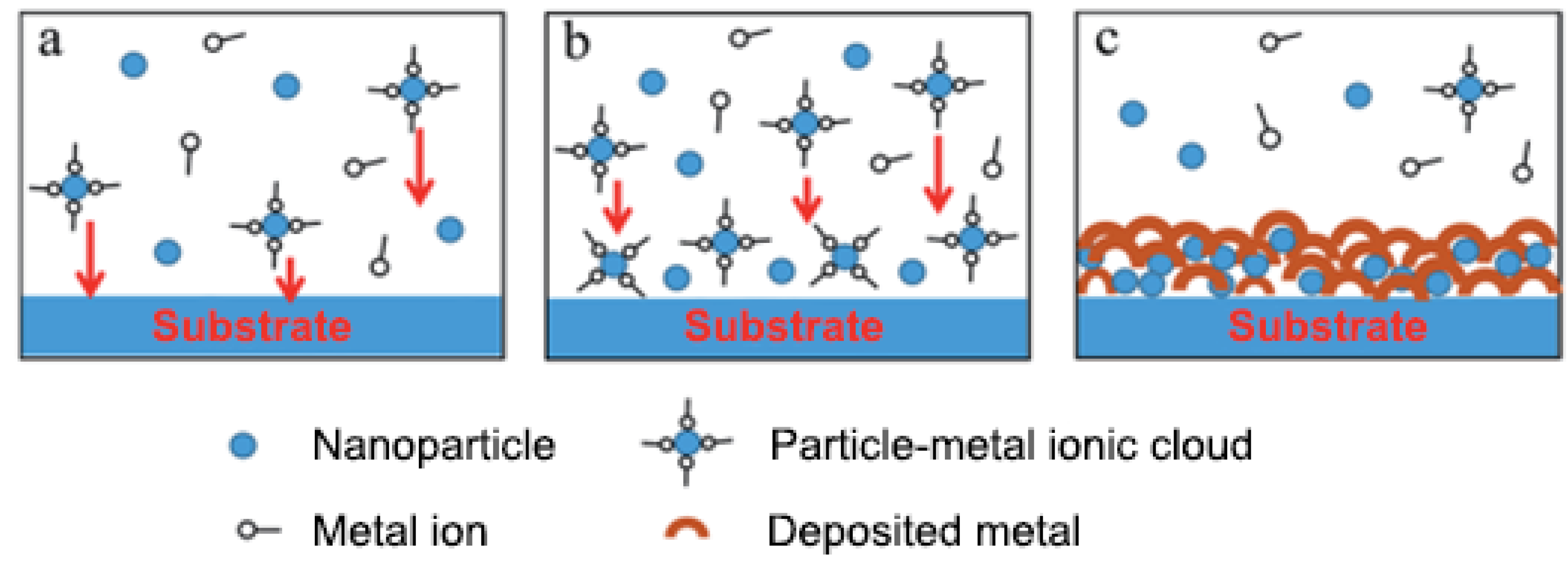 Prosthesis 03 00005 g002 Prosthesis 03 00005 g002