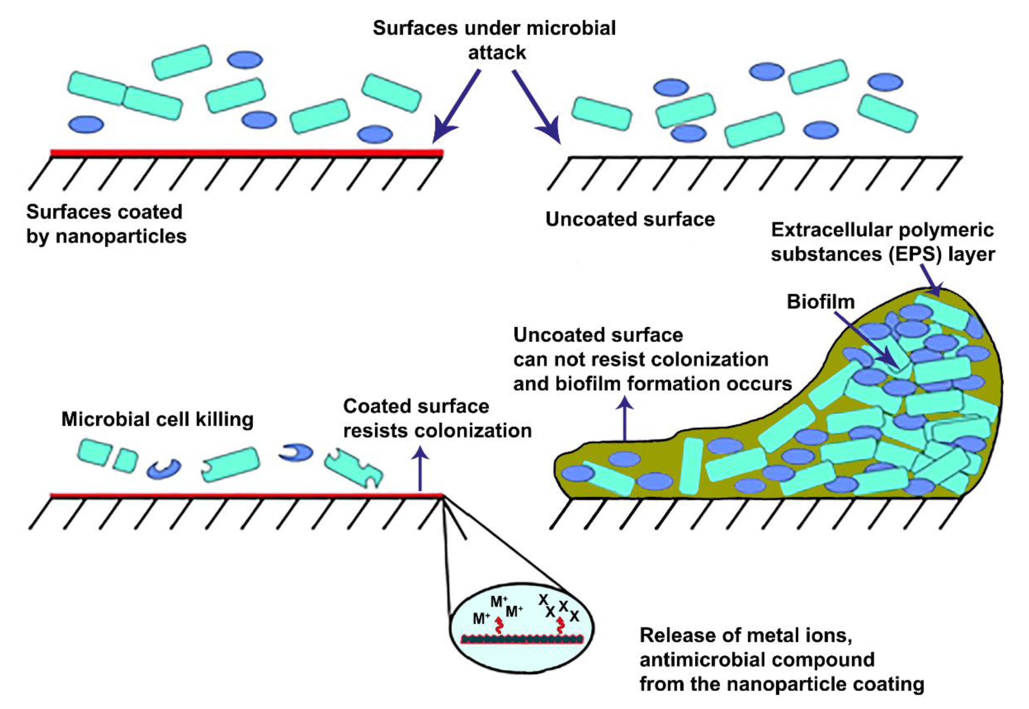 Prosthesis 03 00005 g003 Prosthesis 03 00005 g003