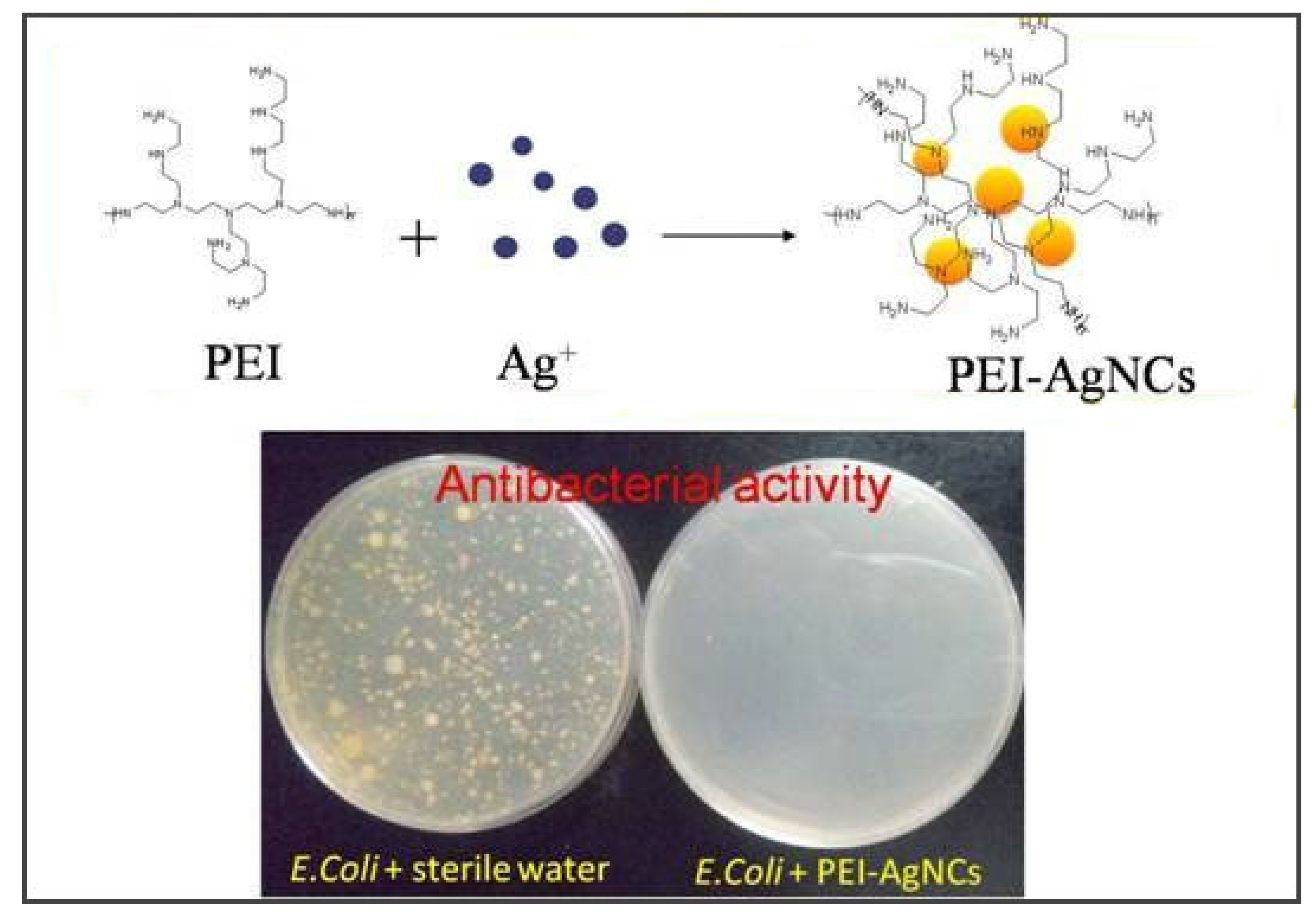 Prosthesis 03 00005 g005 Prosthesis 03 00005 g005