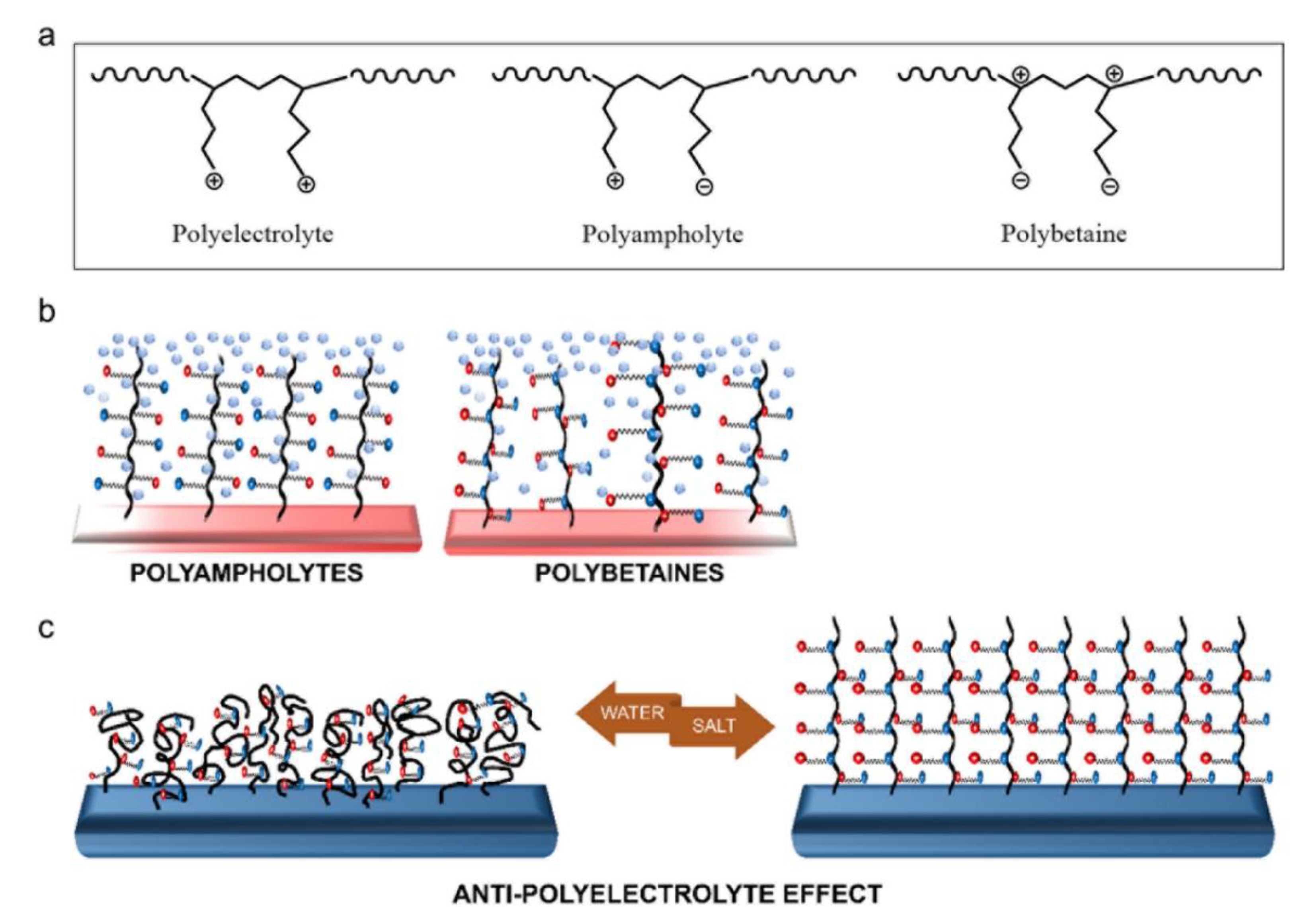Prosthesis 03 00005 g006 Prosthesis 03 00005 g006