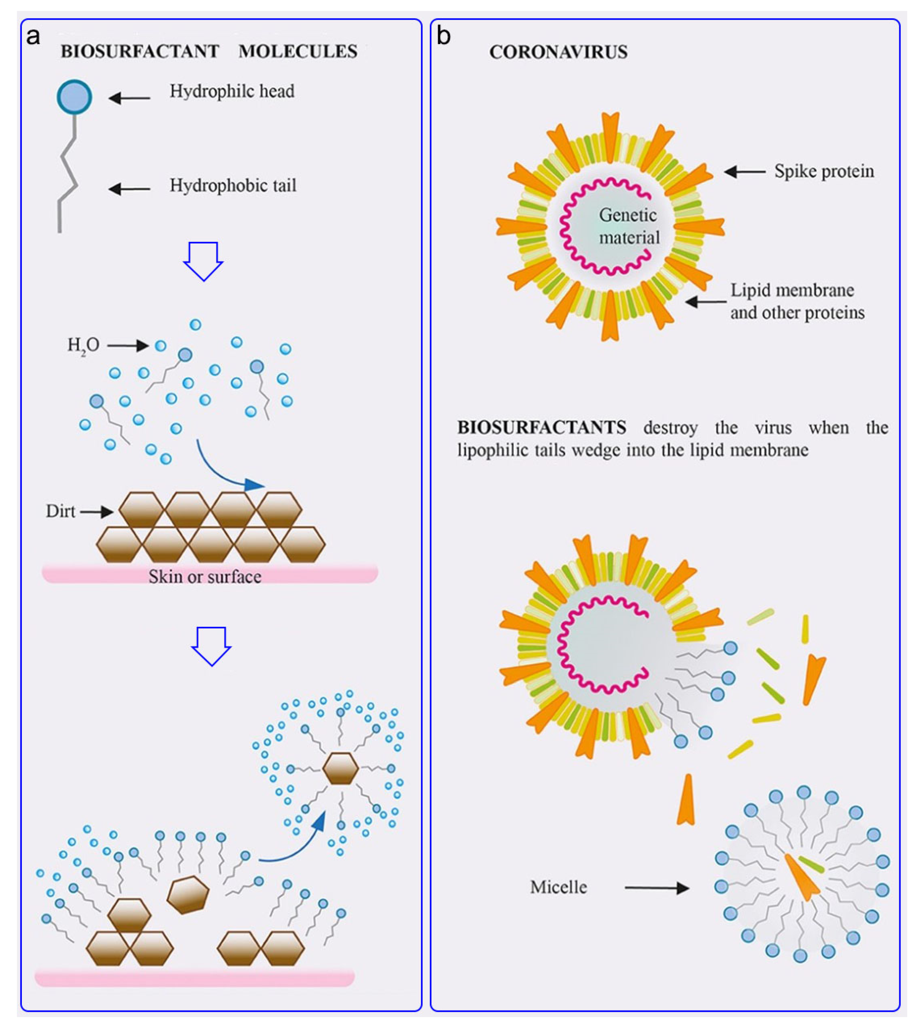 Prosthesis 03 00005 g007 Prosthesis 03 00005 g007