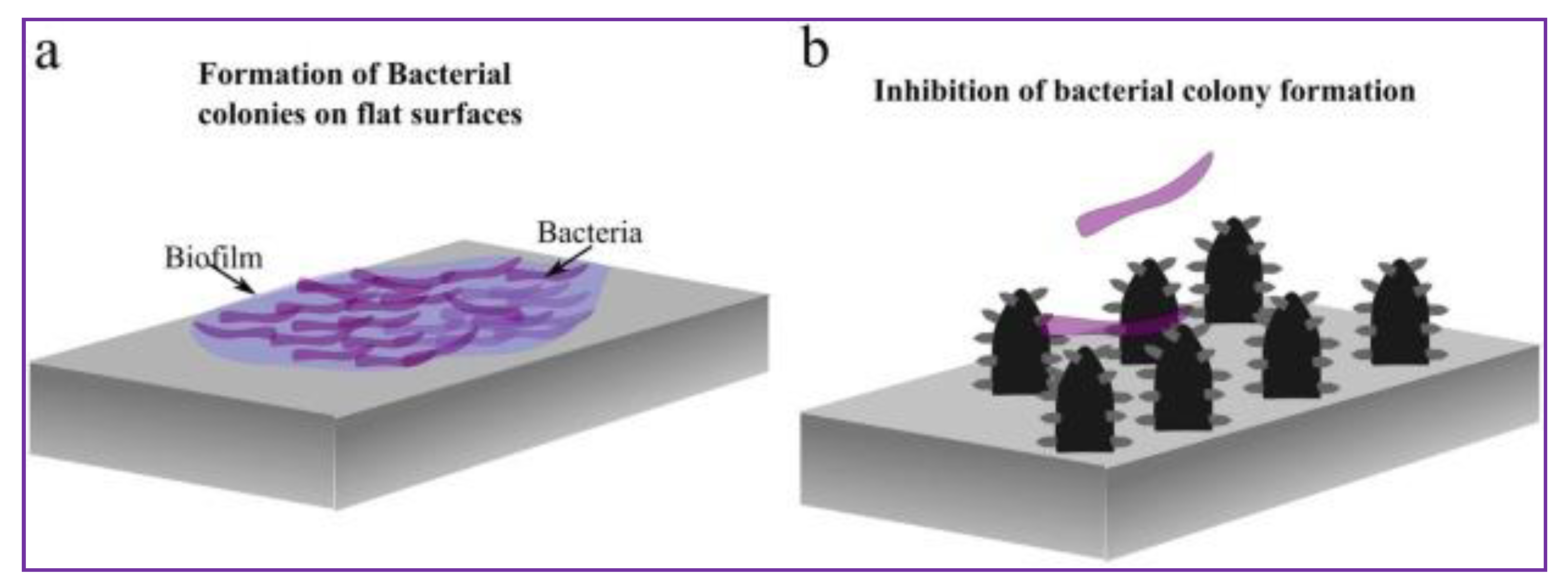 Prosthesis 03 00005 g008 Prosthesis 03 00005 g008