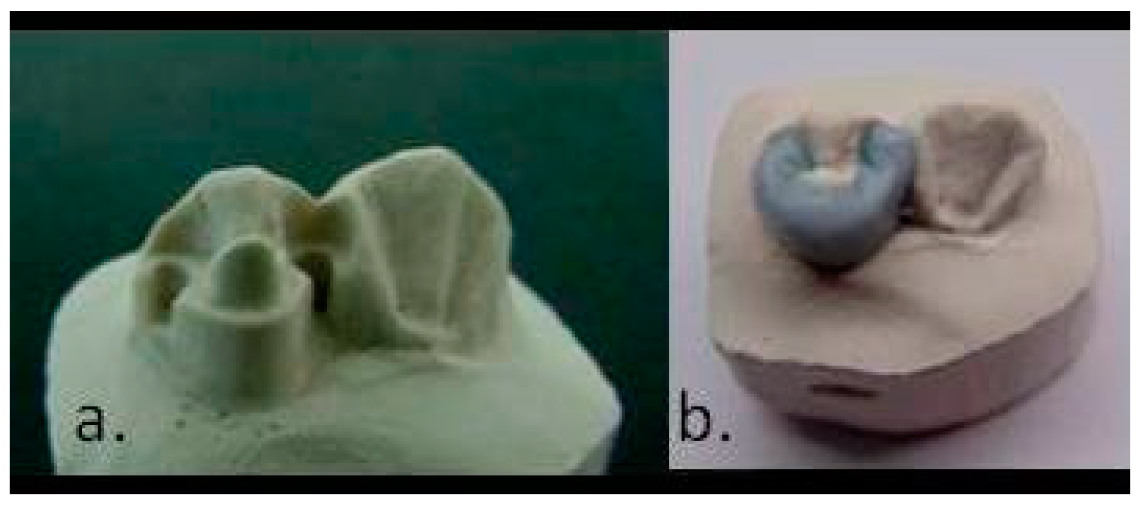 Prosthesis 03 00024 g007