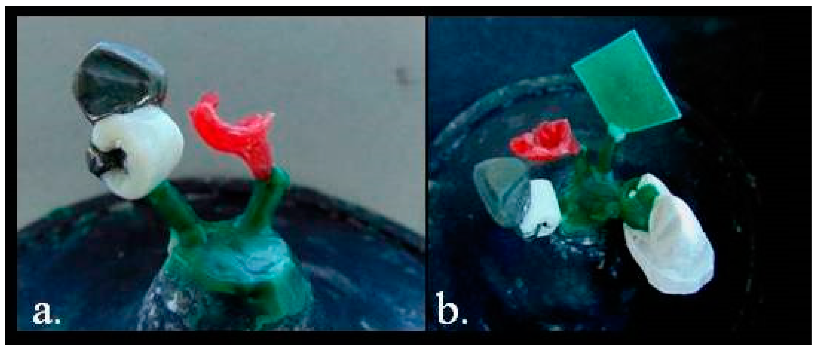 Prosthesis 03 00024 g010