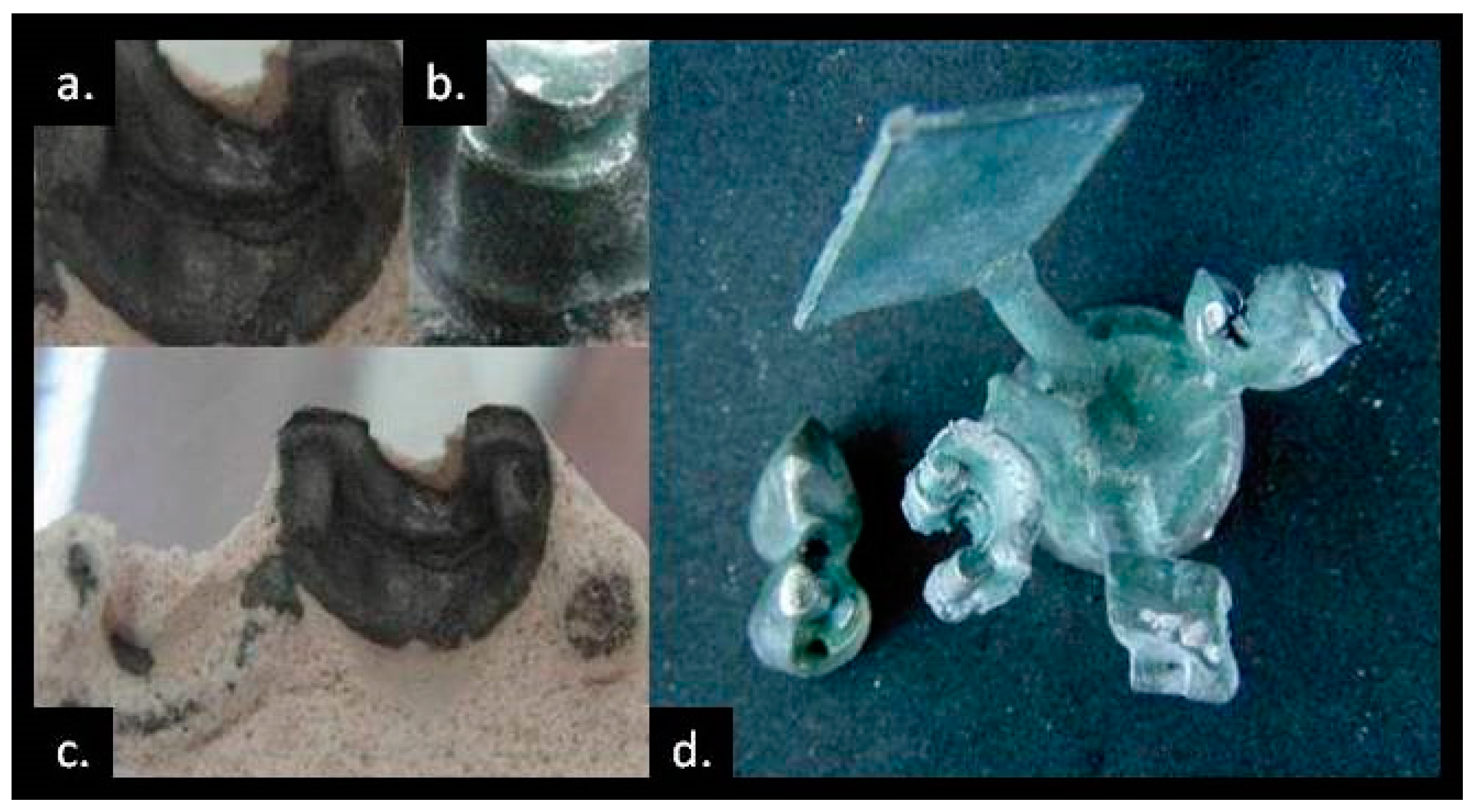 Prosthesis 03 00024 g011