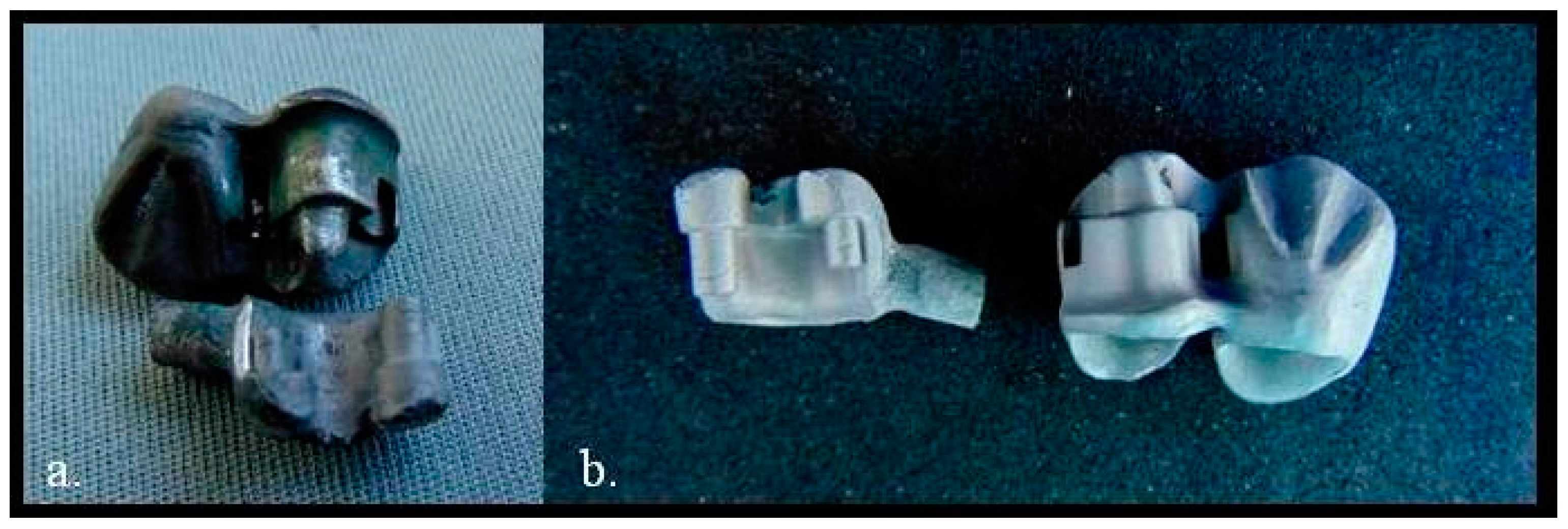 Prosthesis 03 00024 g012