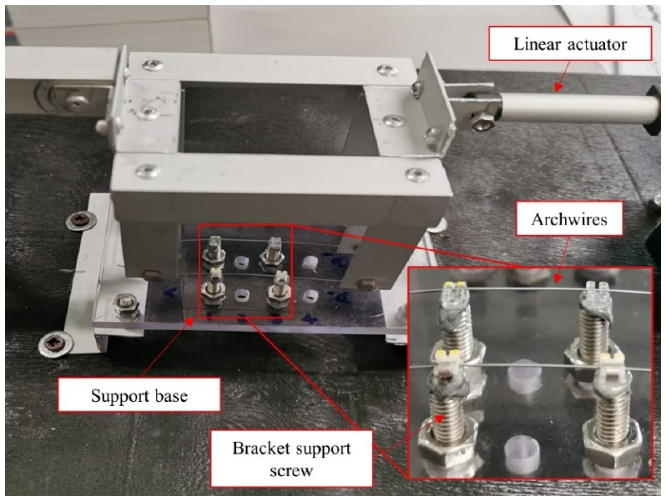 Prosthesis 03 00031 g001