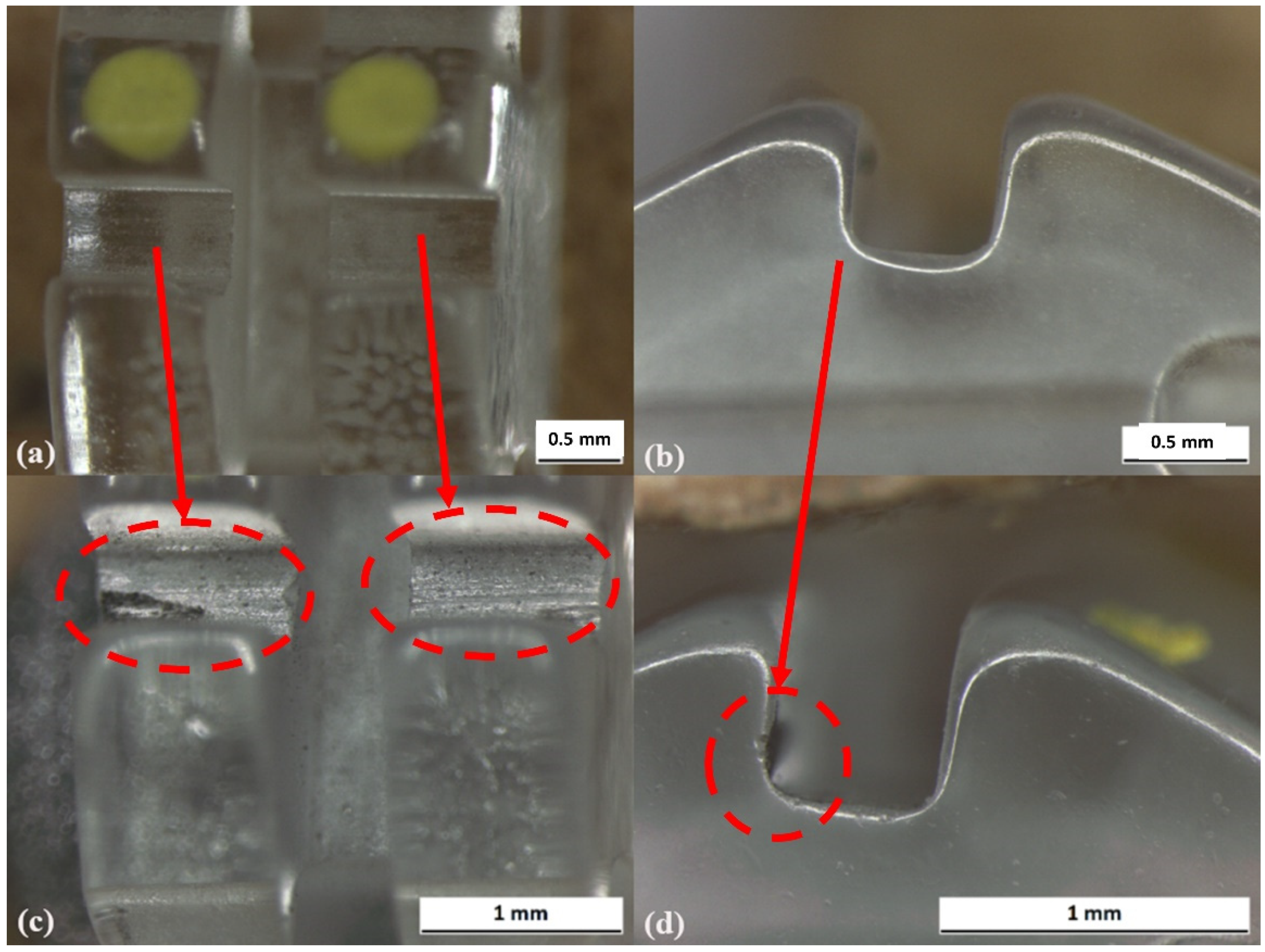 Prosthesis 03 00031 g002
