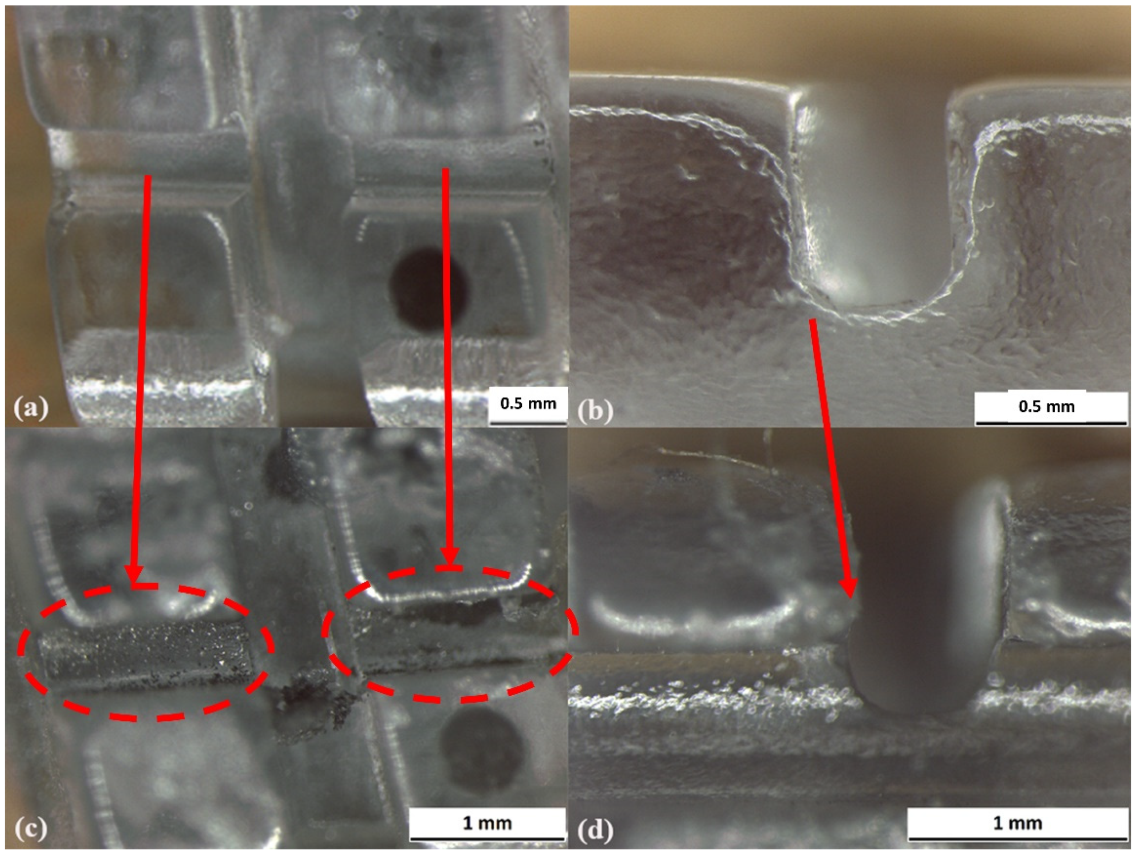 Prosthesis 03 00031 g003