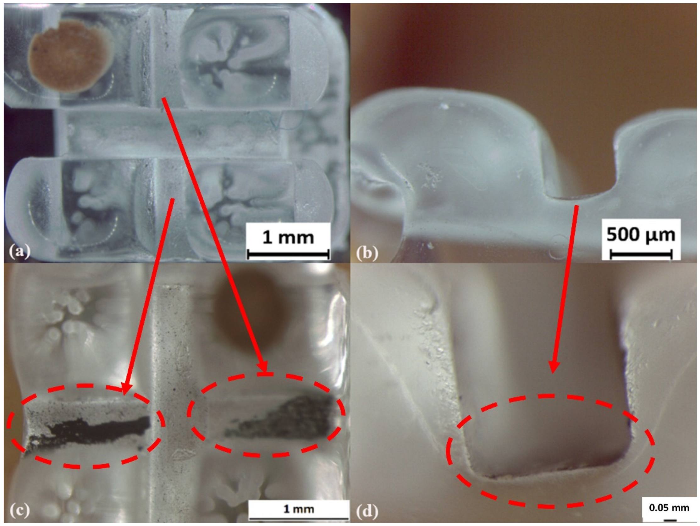 Prosthesis 03 00031 g004