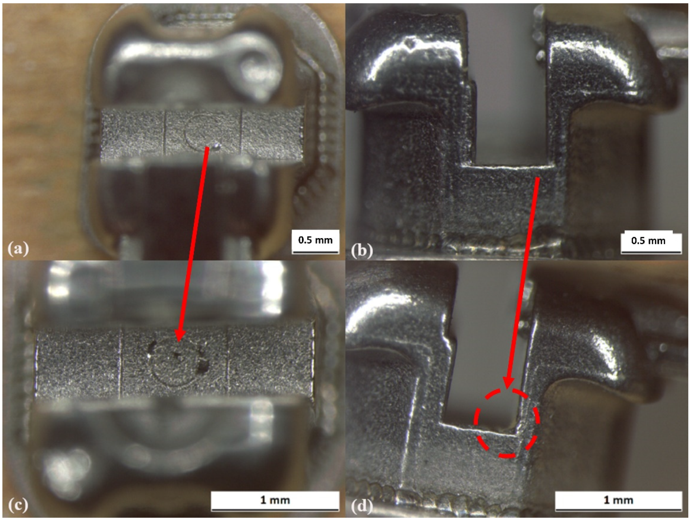 Prosthesis 03 00031 g005