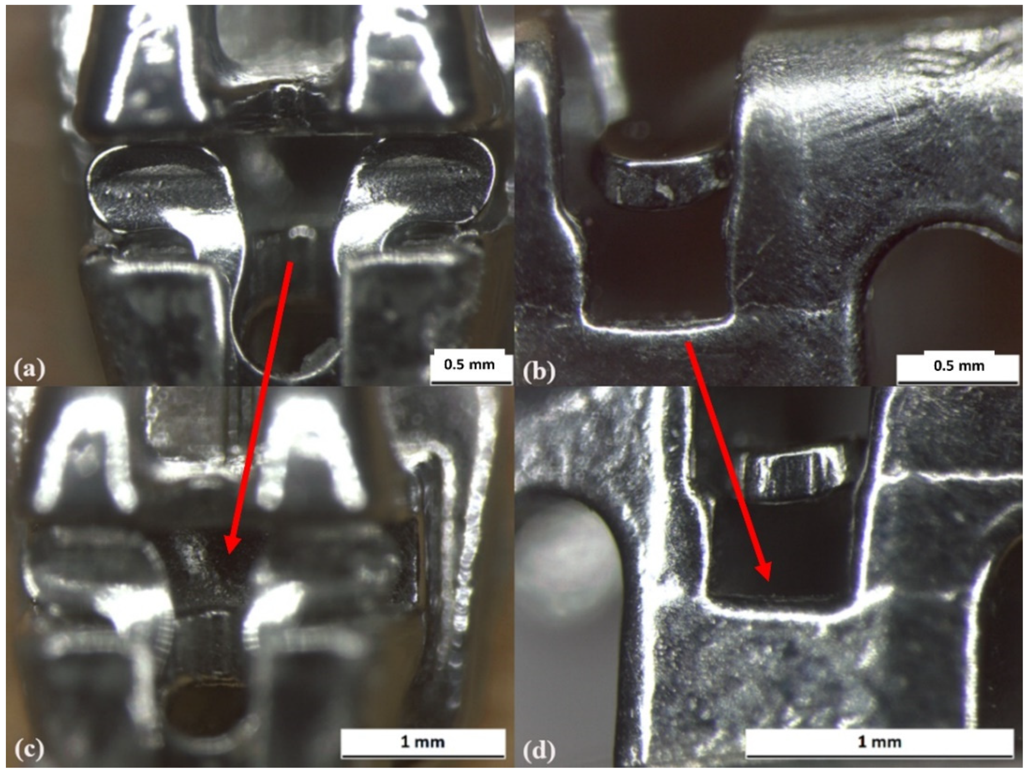 Prosthesis 03 00031 g006